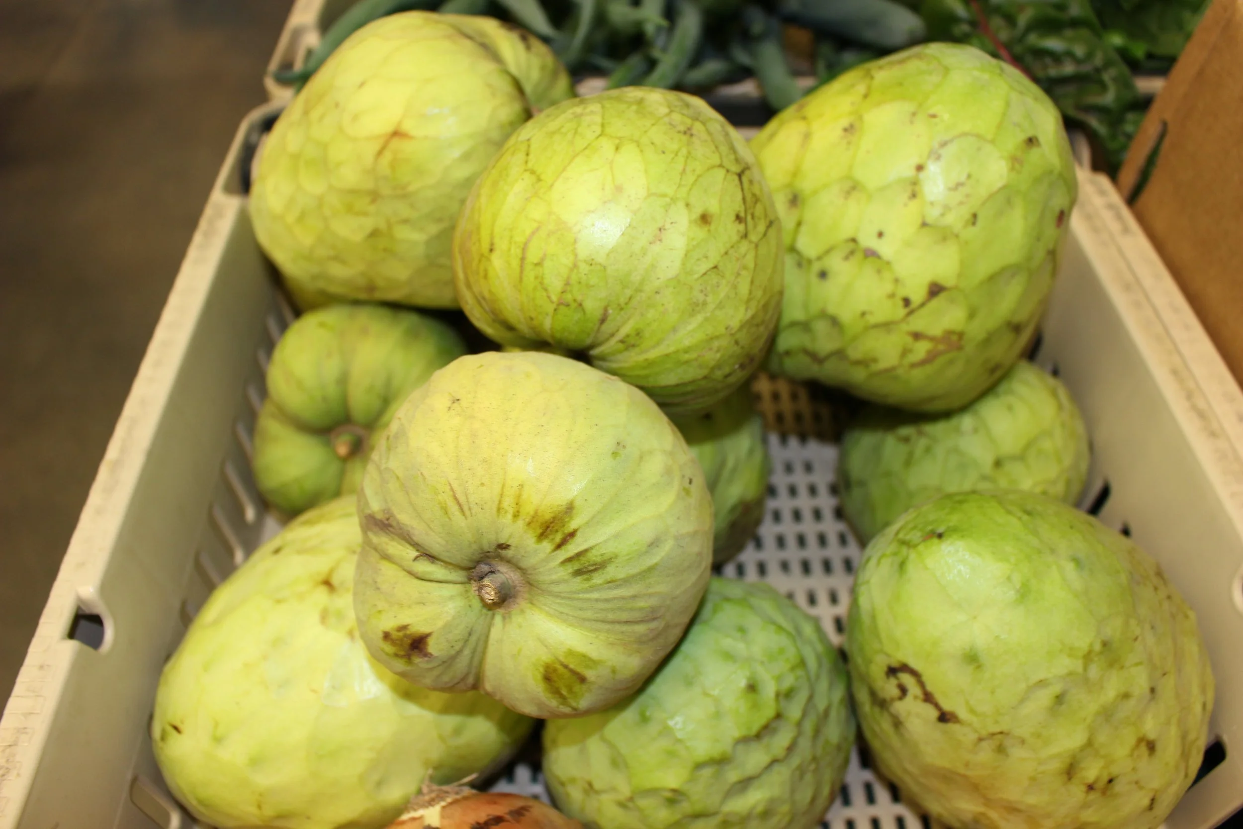 Cherimoya