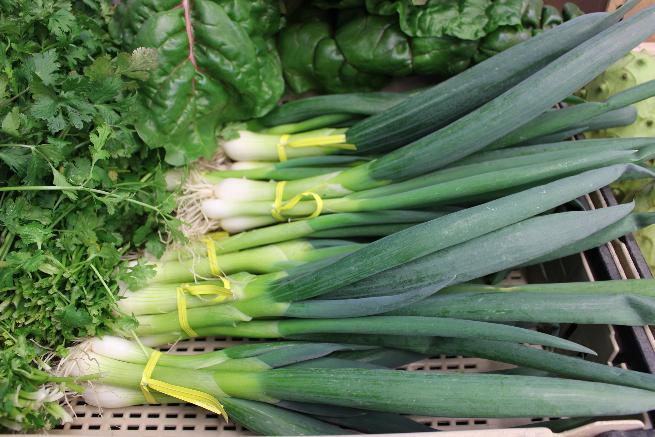 Green Onions