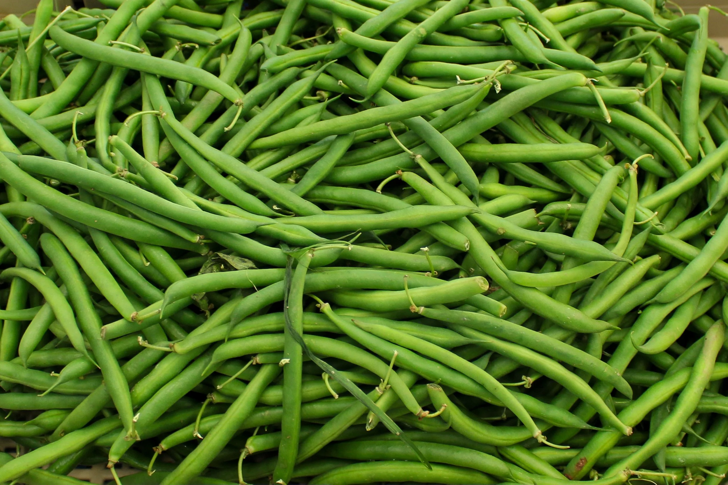 Green Beans