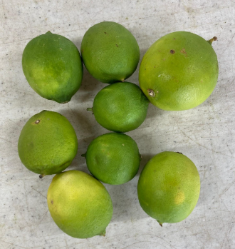 Limes