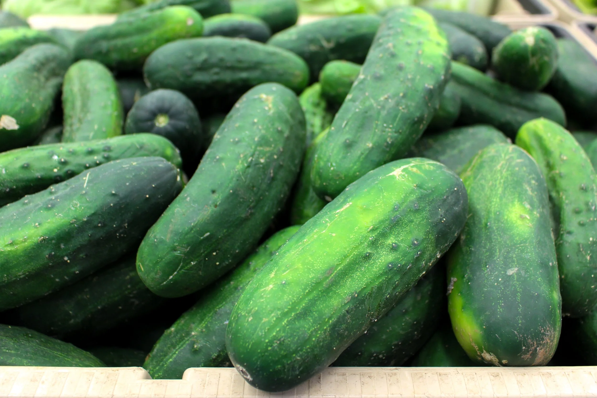 Cucumbers