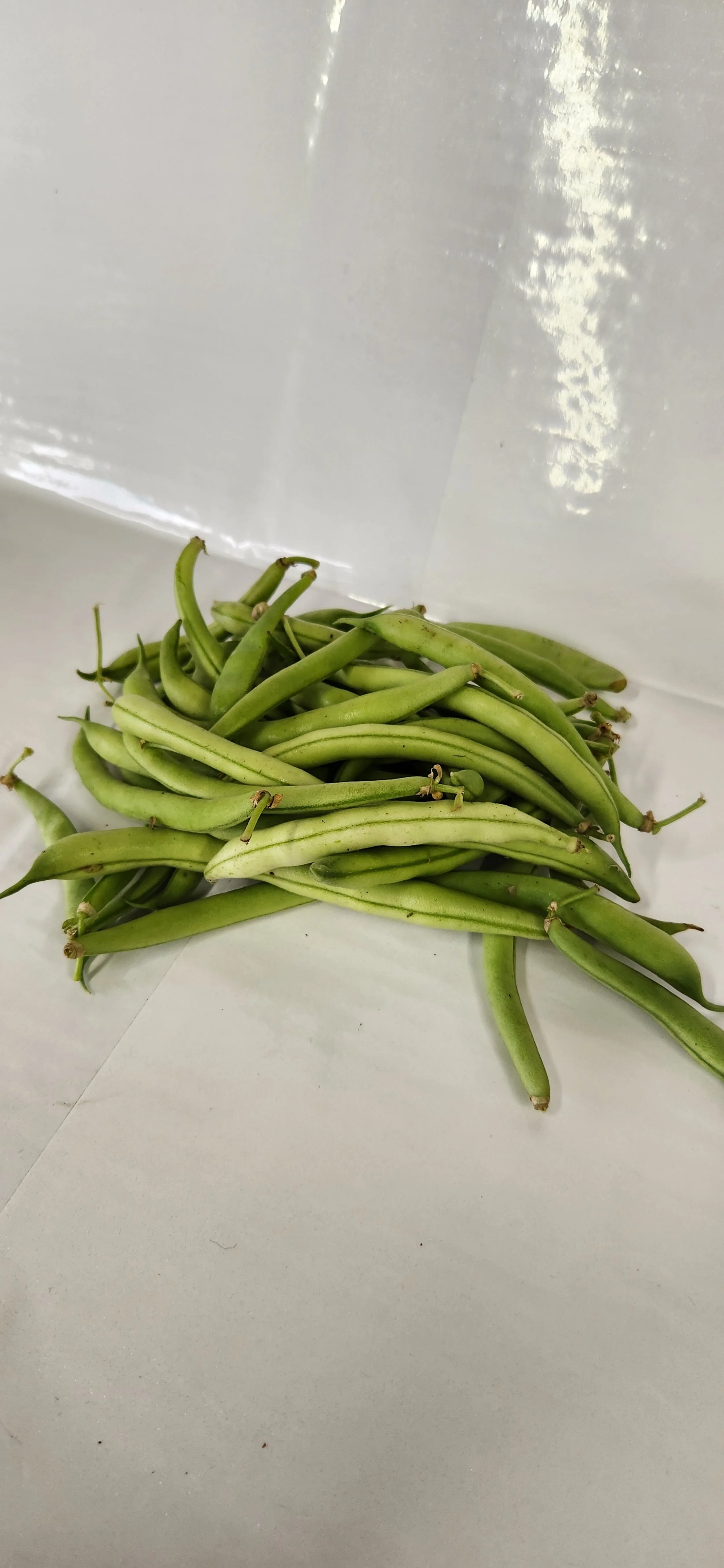 Green Beans