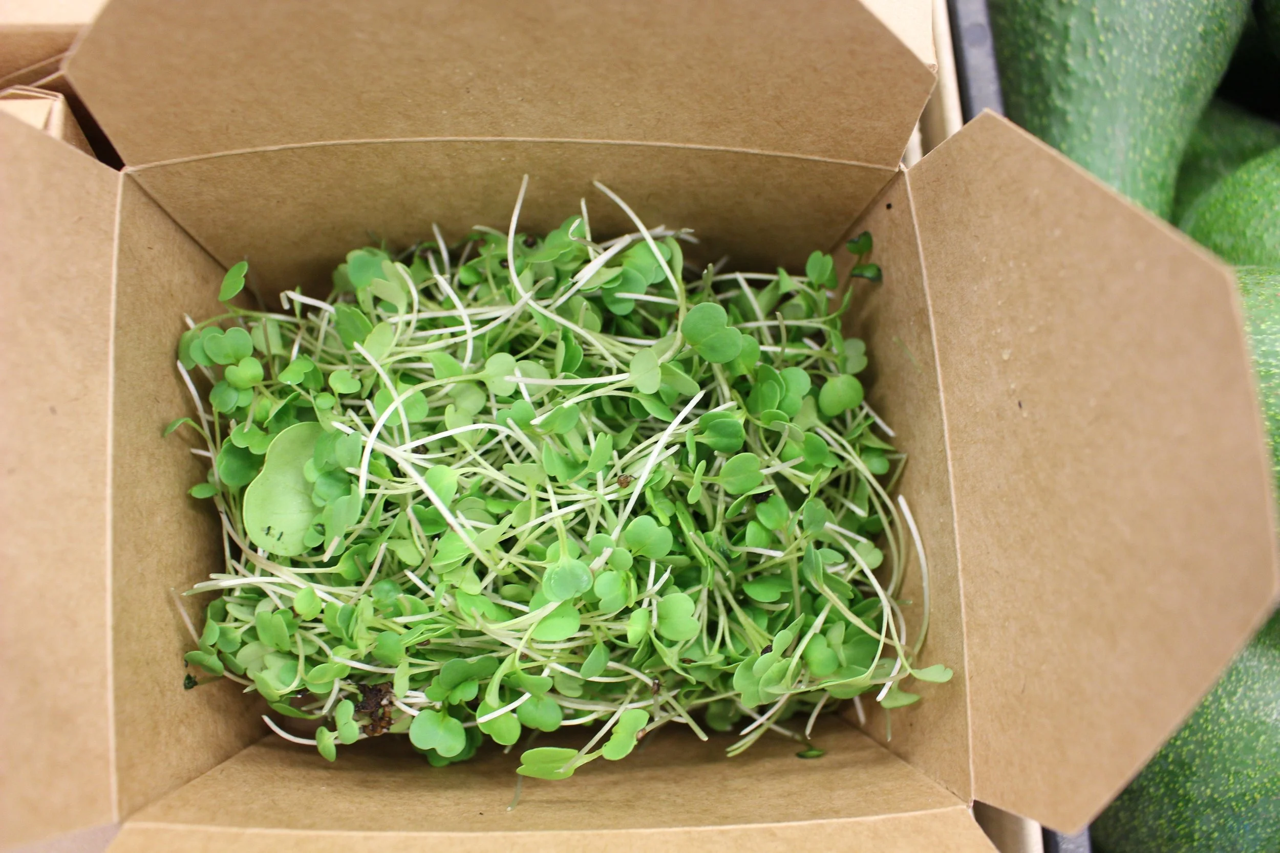 Microgreens