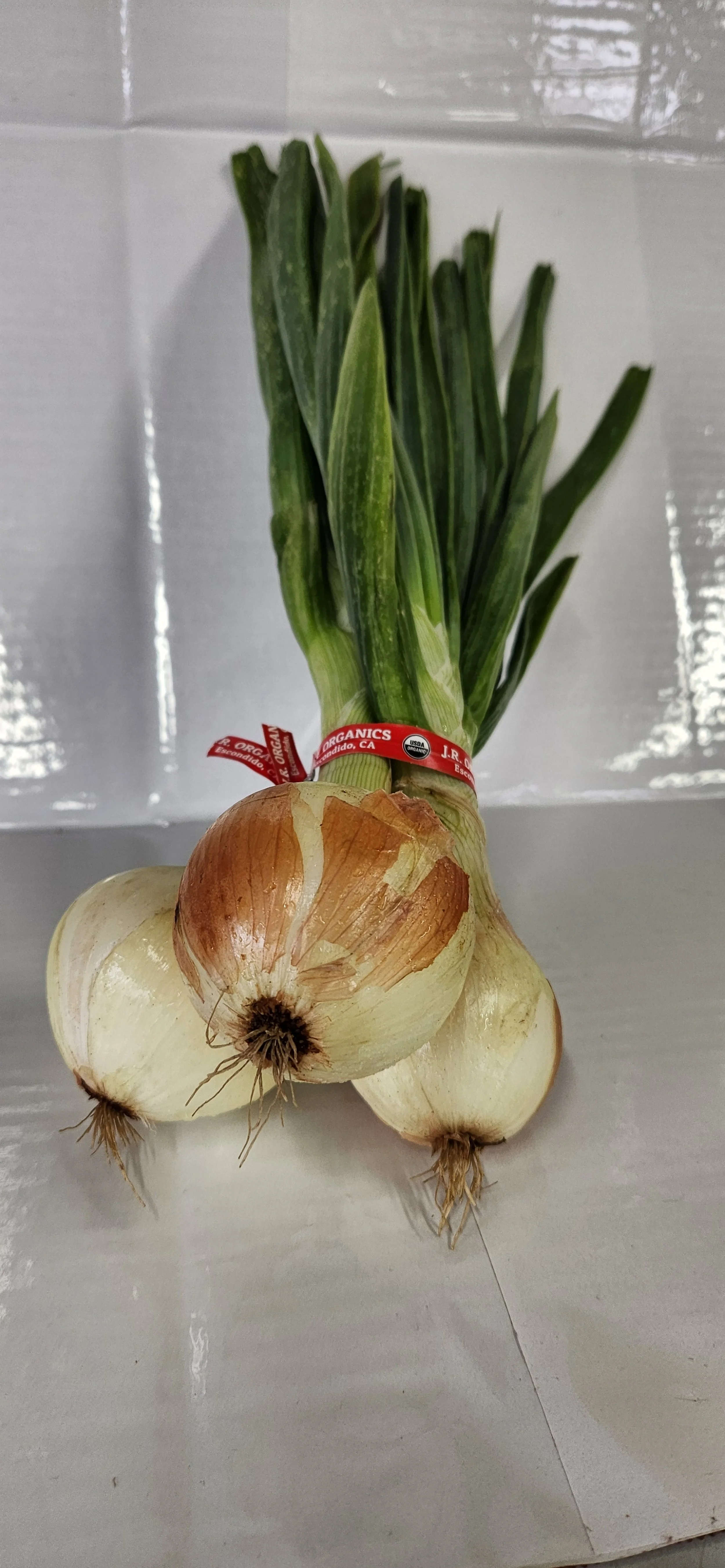 Bulb Onions