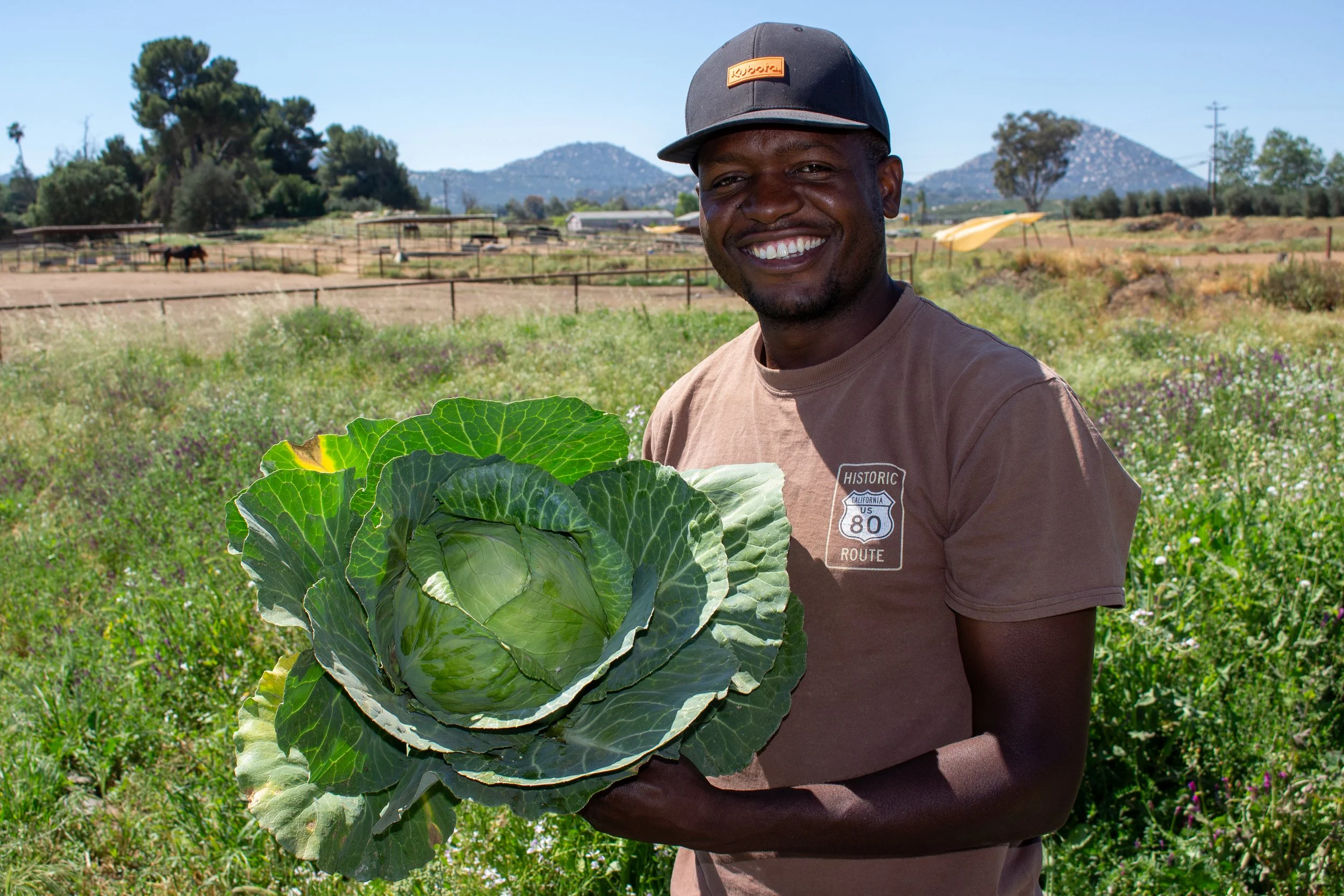 Hukama Produce