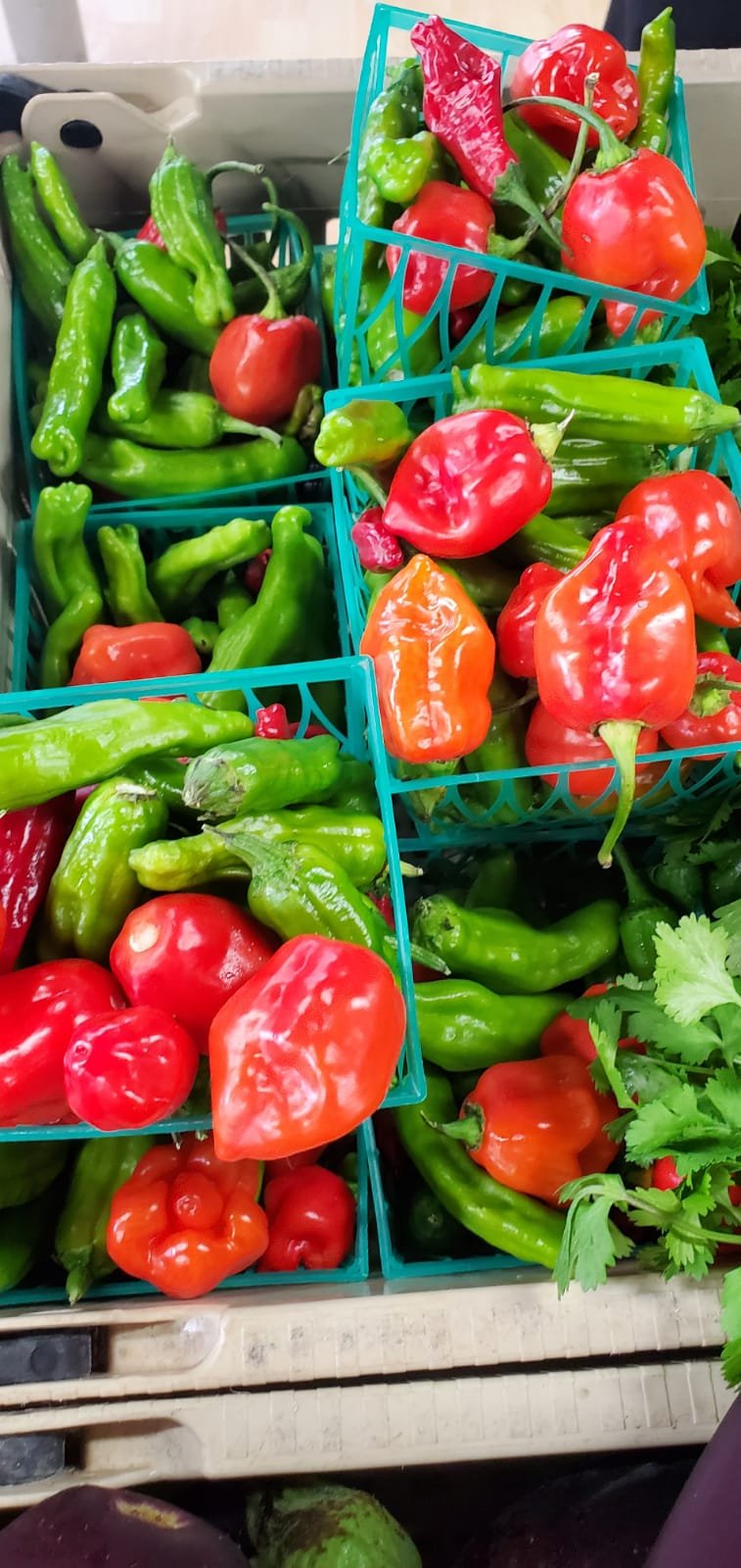 habaneros.jpeg
