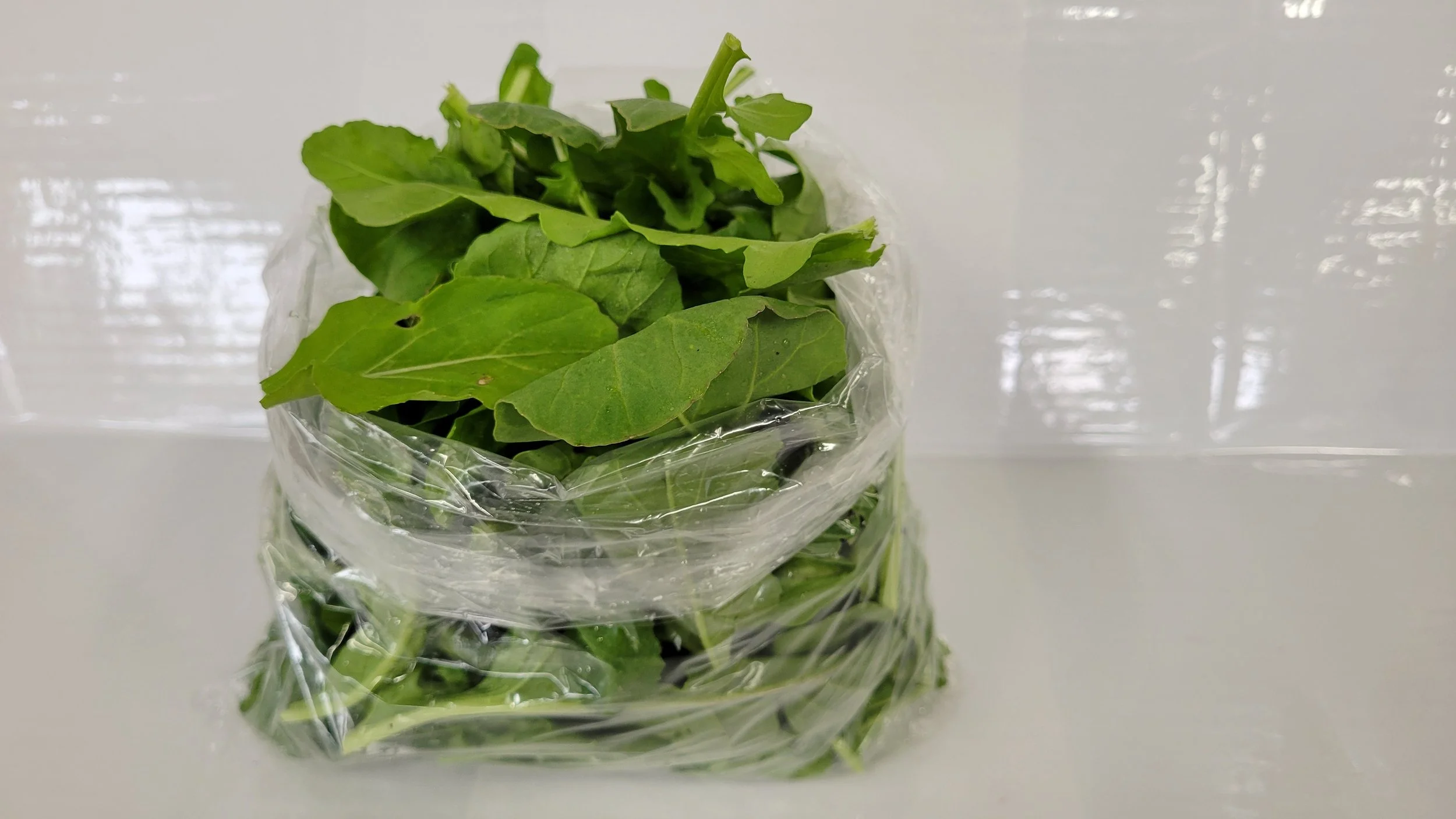 Arugula