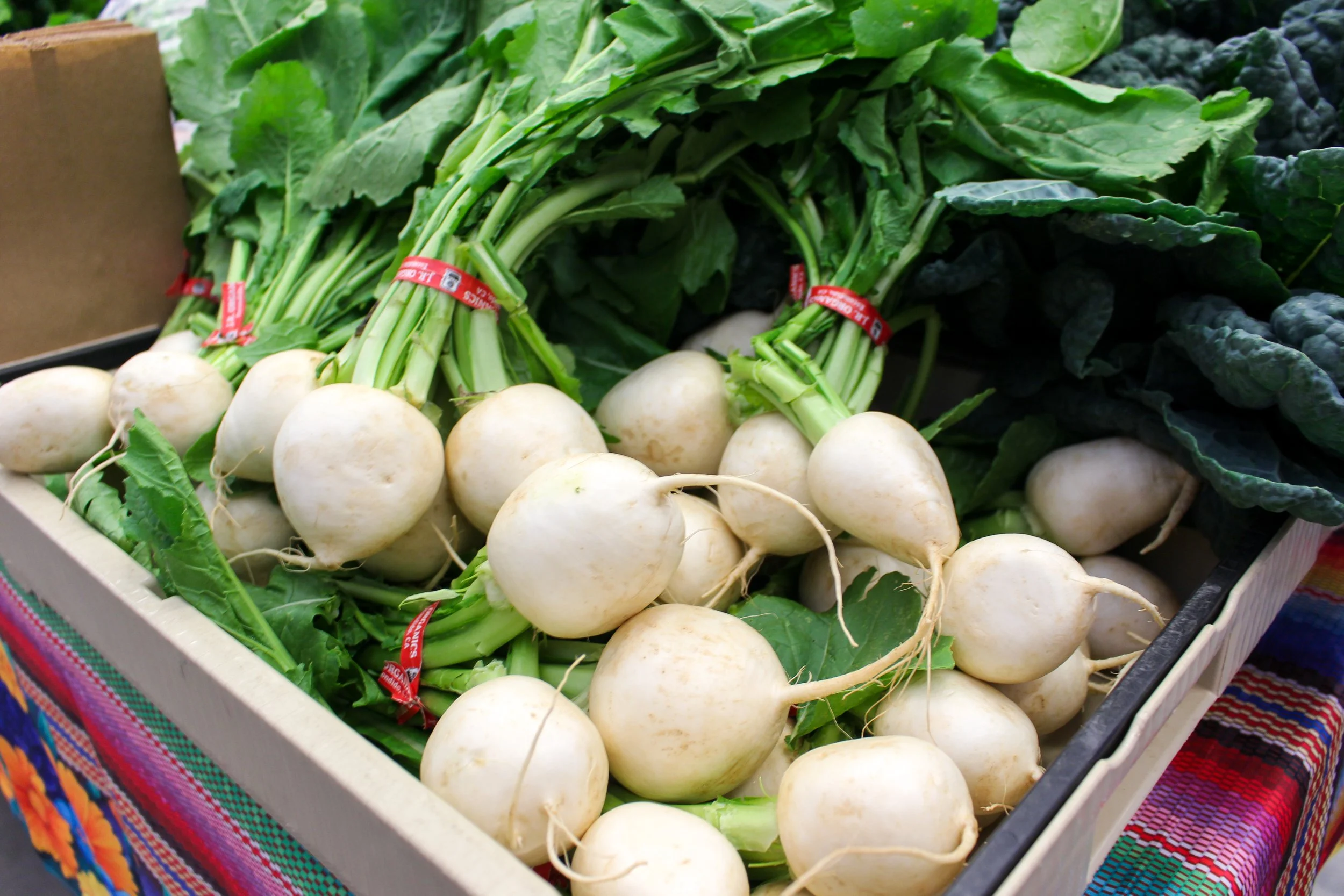 Turnips