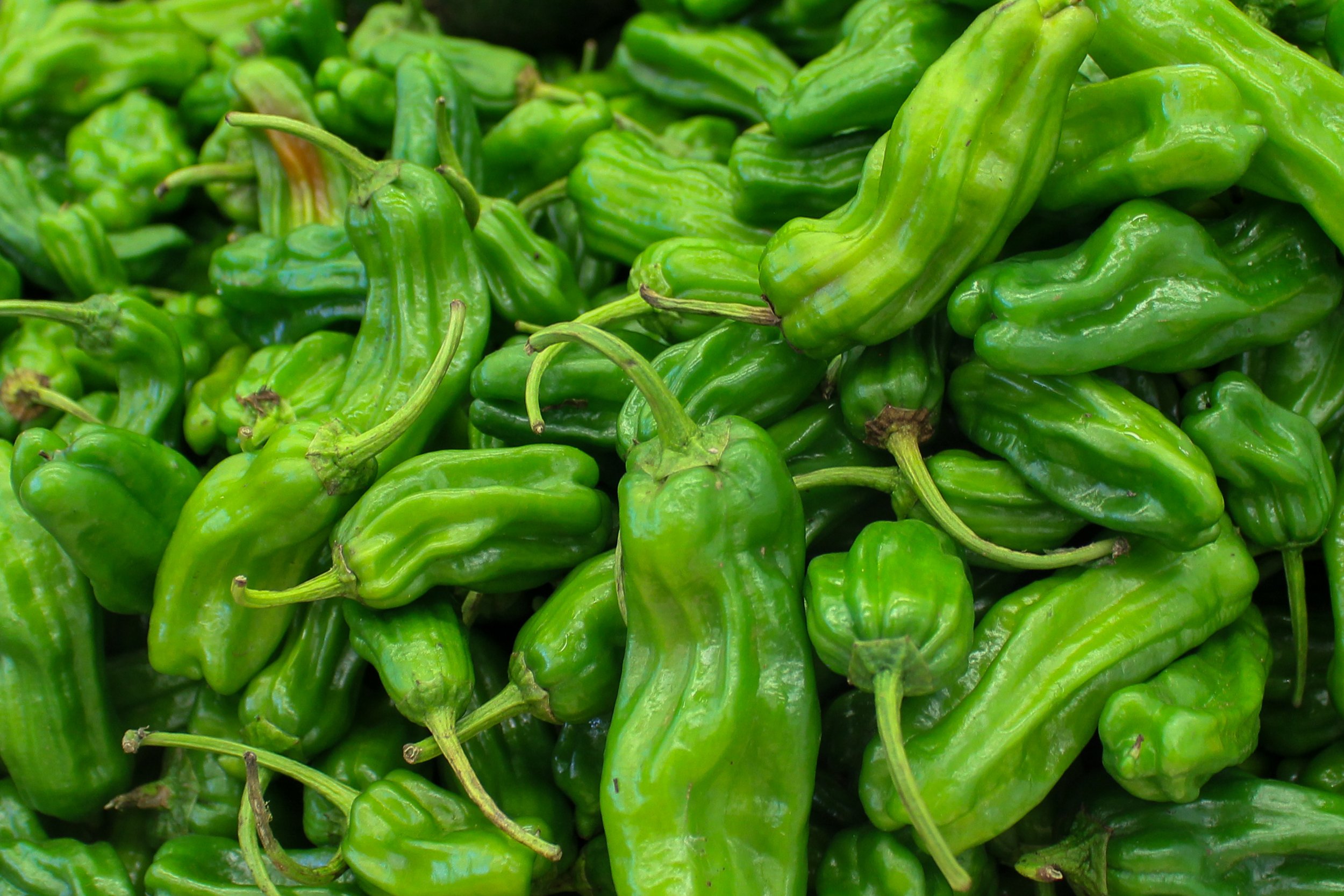 Peppers