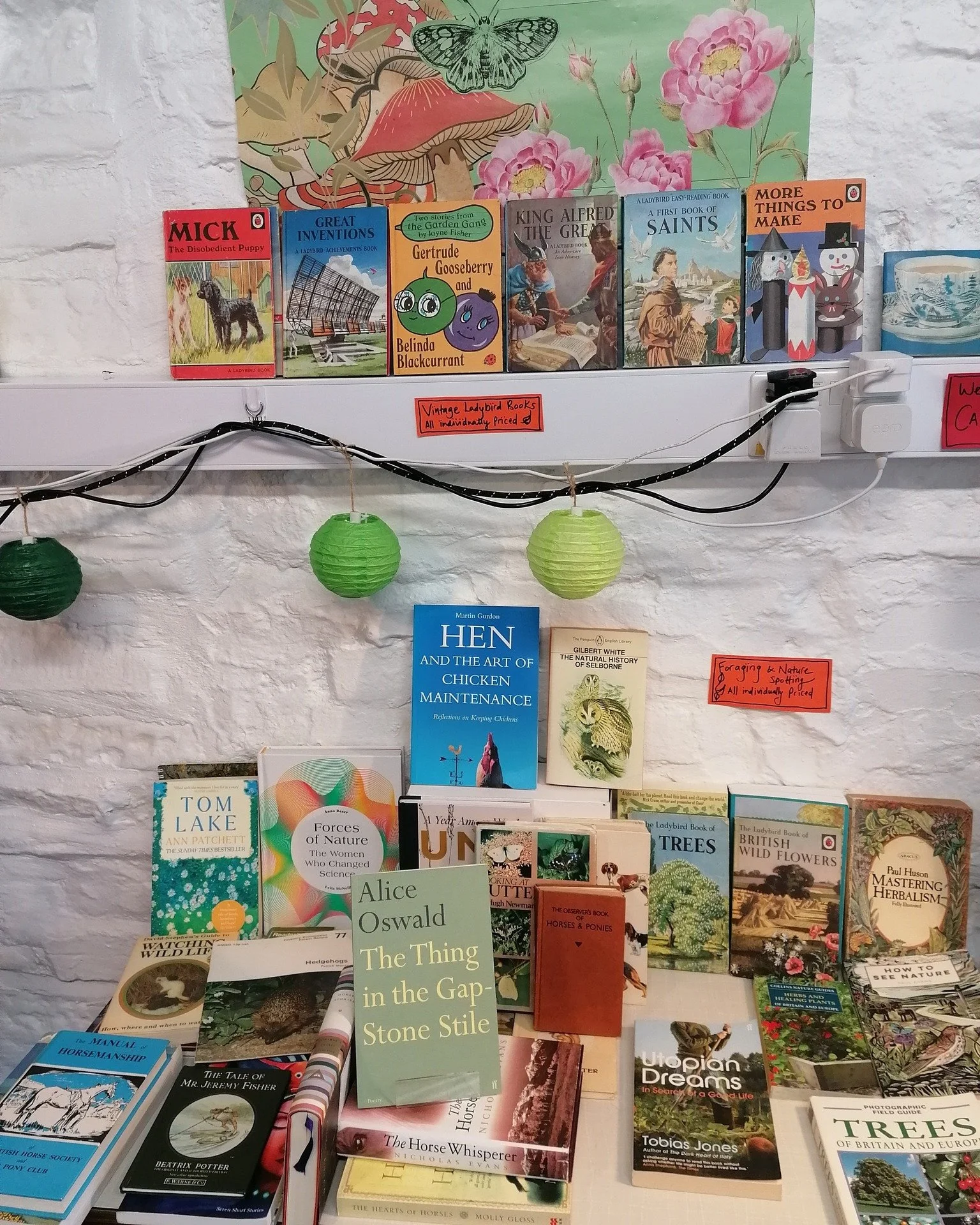🌞it's Holiday Time!

The Book Garden is off on our late summer holidays! Although it is so beautiful and autumnal here we almost feel like staying home!

Its been so lovely settling in here and creating our little book nook. 

We want to say a big T