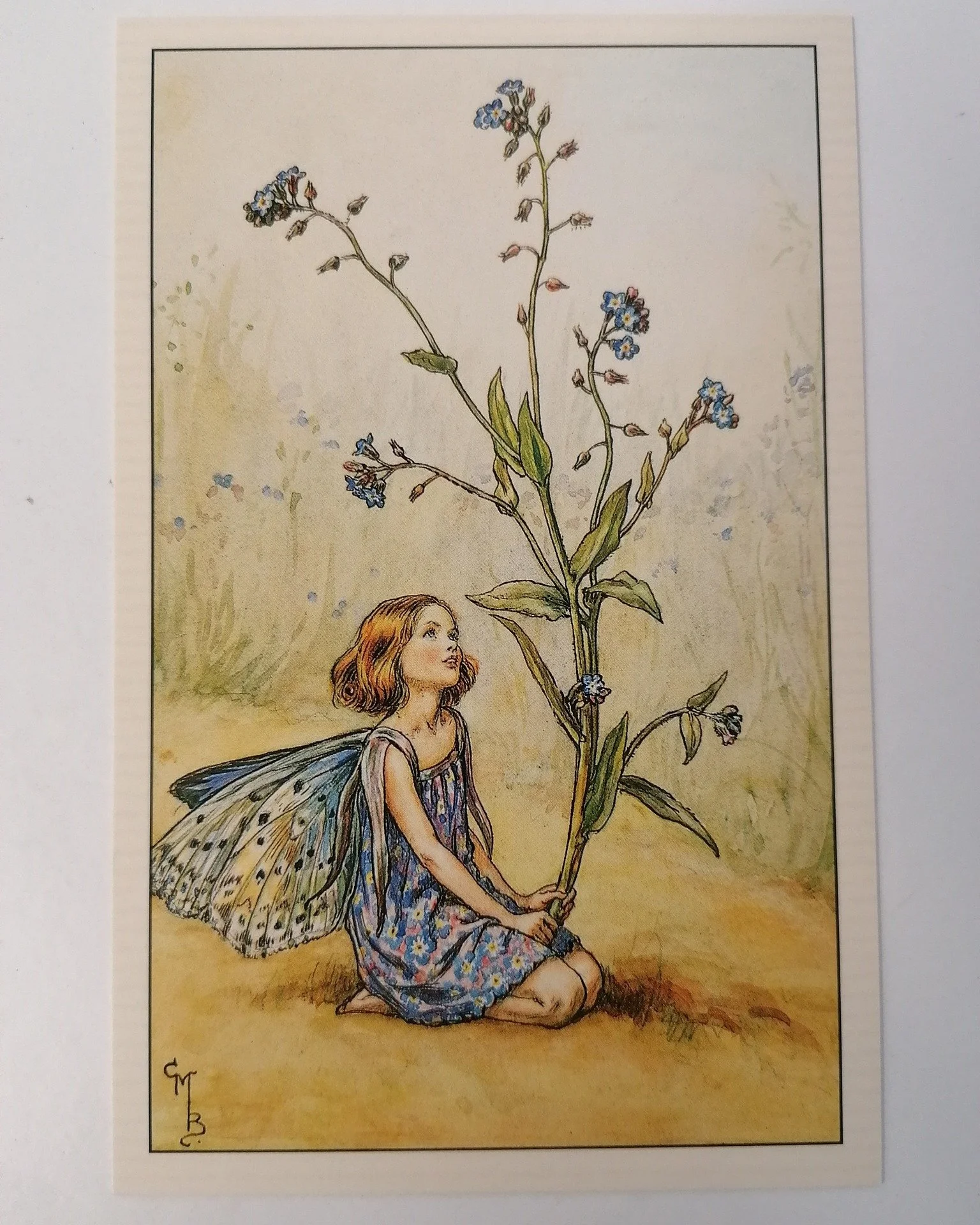 Flower Fairies cast their magic spells in The Book Garden

'Wherever and whenever a seed sprouts, a Flower Fairy baby is born. Each Flower Fairy lives and sleeps in their chosen flower, plant or tree, and as this grows the fairy grows too.'

Since 19