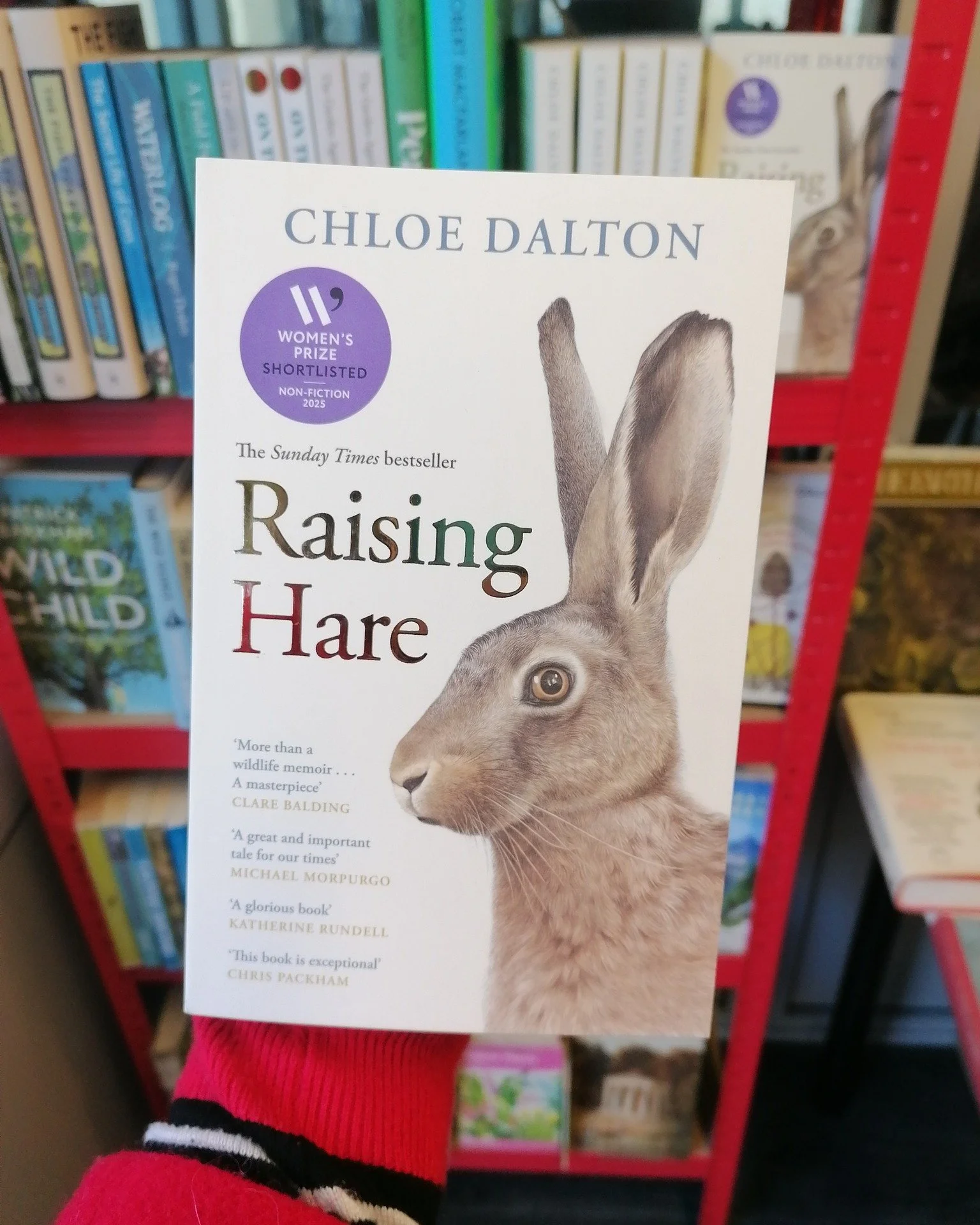 We are super-excited for our first 'Wild Things' Book Club in collaboration with the lovely @Eco Hub Aber 🍂

Next Wednesday evening 19th November at Mashed Community Brewhouse 7-9pm! Raising Hare by Chloe Dalton - the nature book that has got everyb