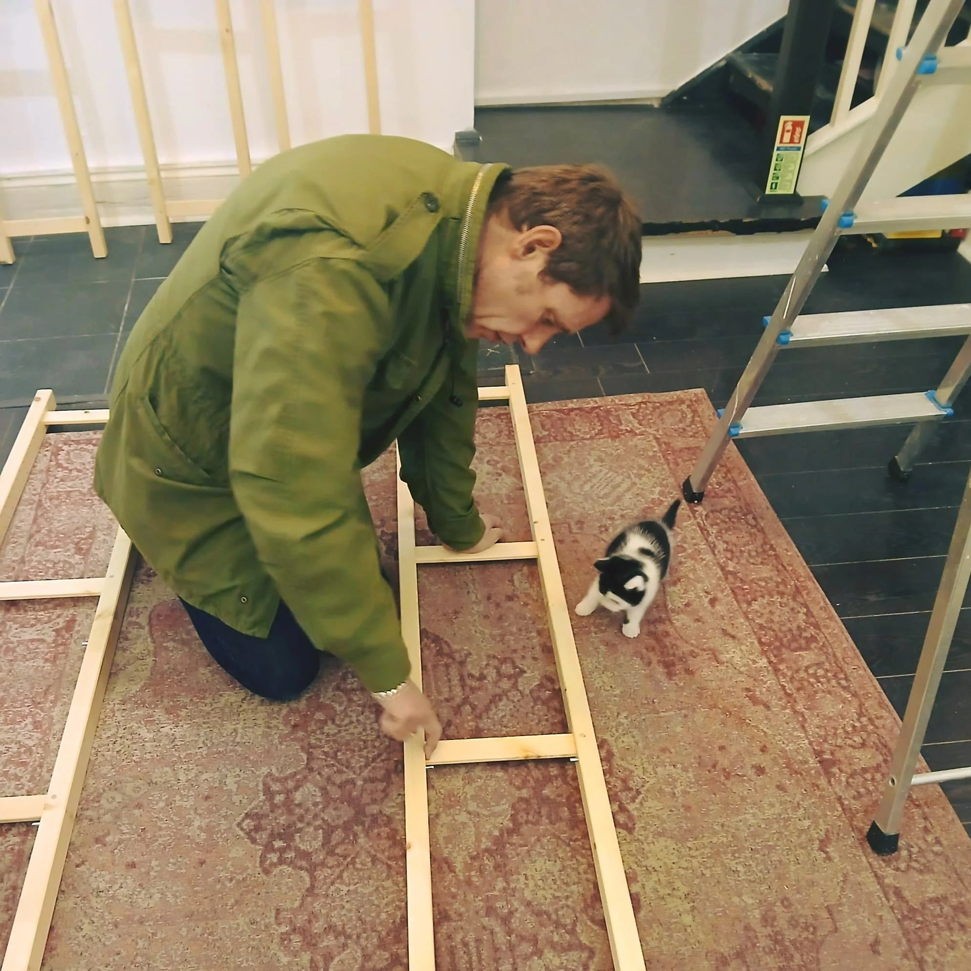 🌿Alfie the kitten discussing important bookshelf measurements with his apprentice. 

Together they will get the job done. Hopefully in time for our big bookish announcement!

We are open 11-5 Thursday-Sat so pop down and find out all our secrets 💚
