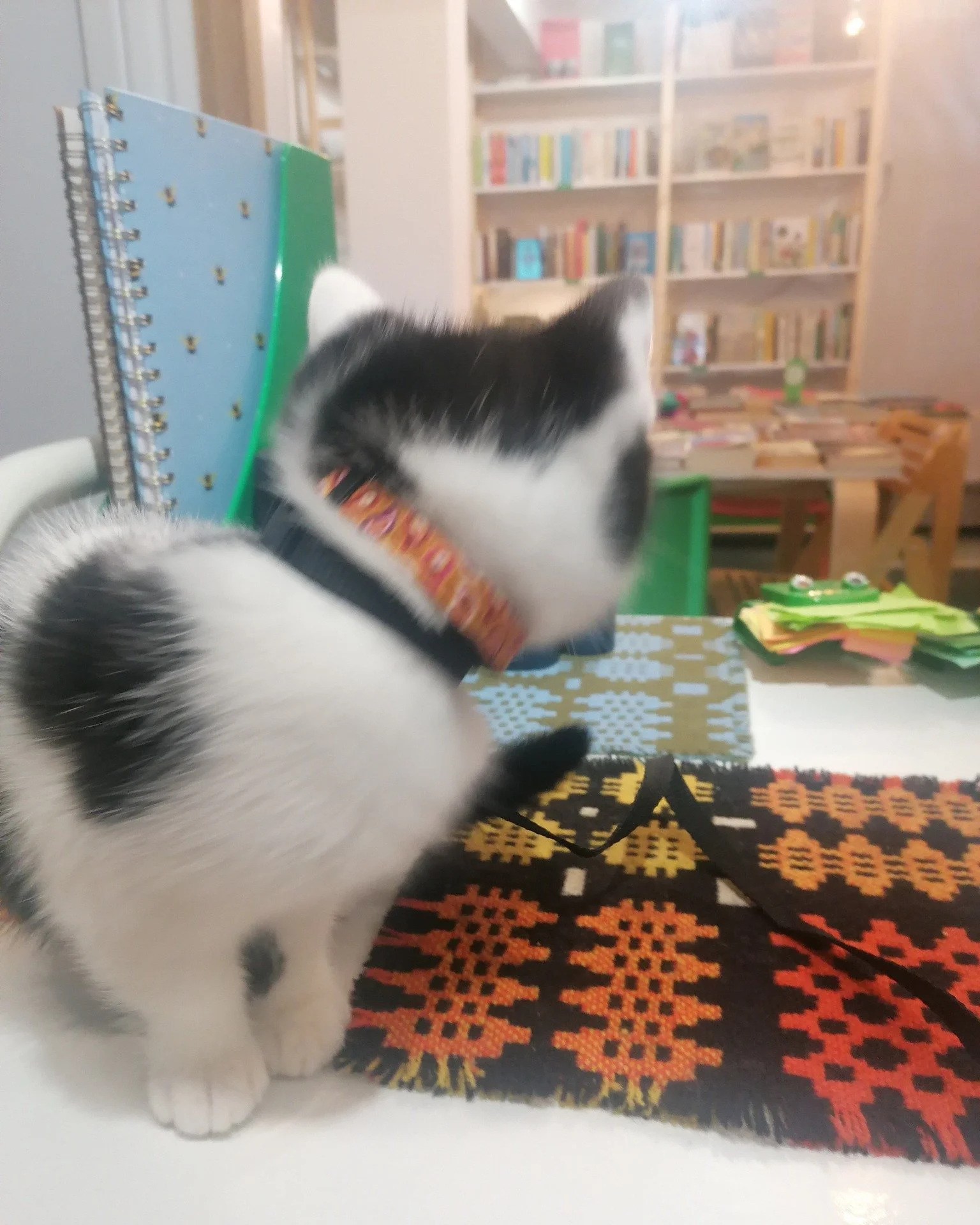 Incredible events at The Book Garden as a tiny nose makes an appearance. Just need to remind him that books are not toys! 💚

We are open today until 5! Its pretty dreary outside let's be honest so come and say hi to us in our new home on Market Stre