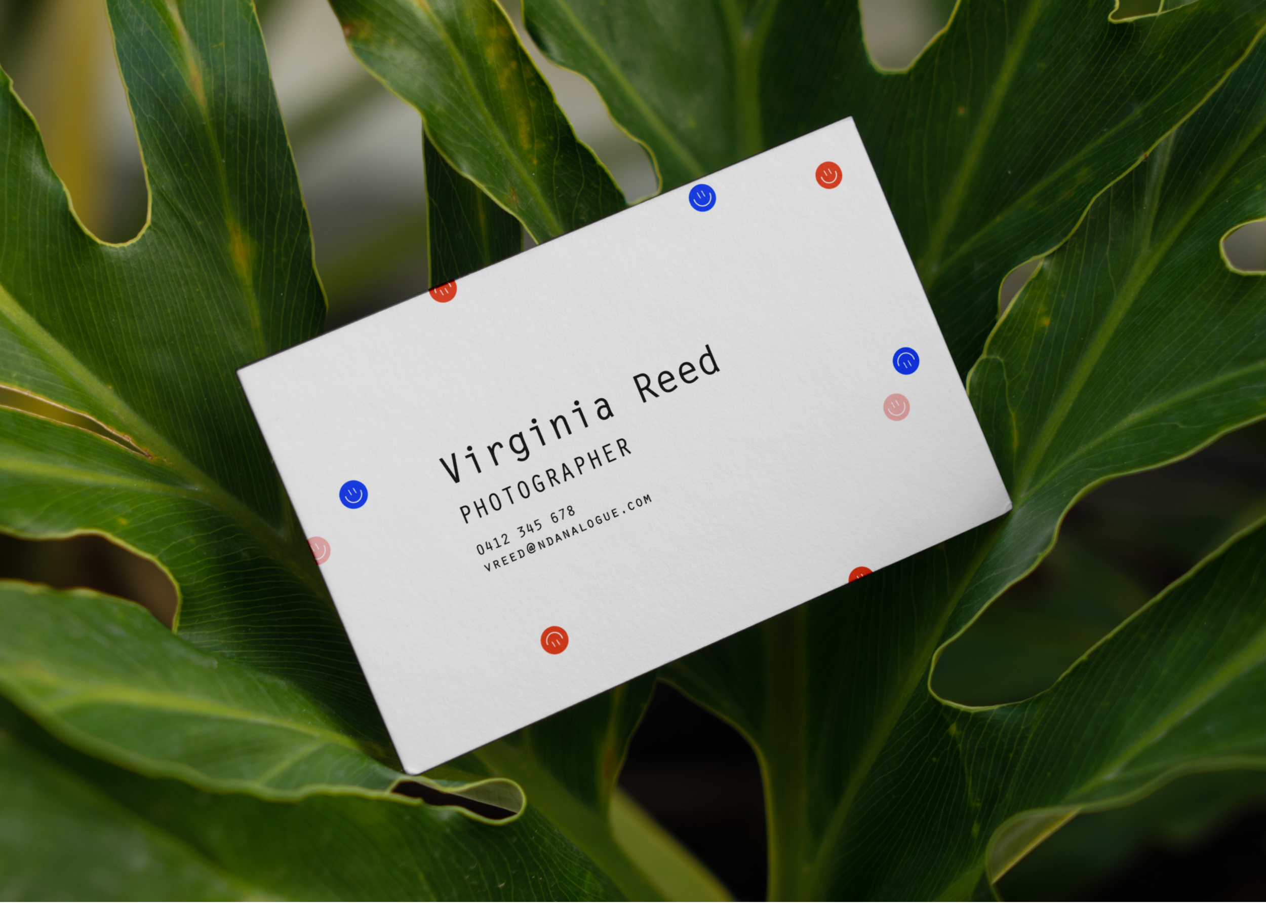 Branding: Camera Store