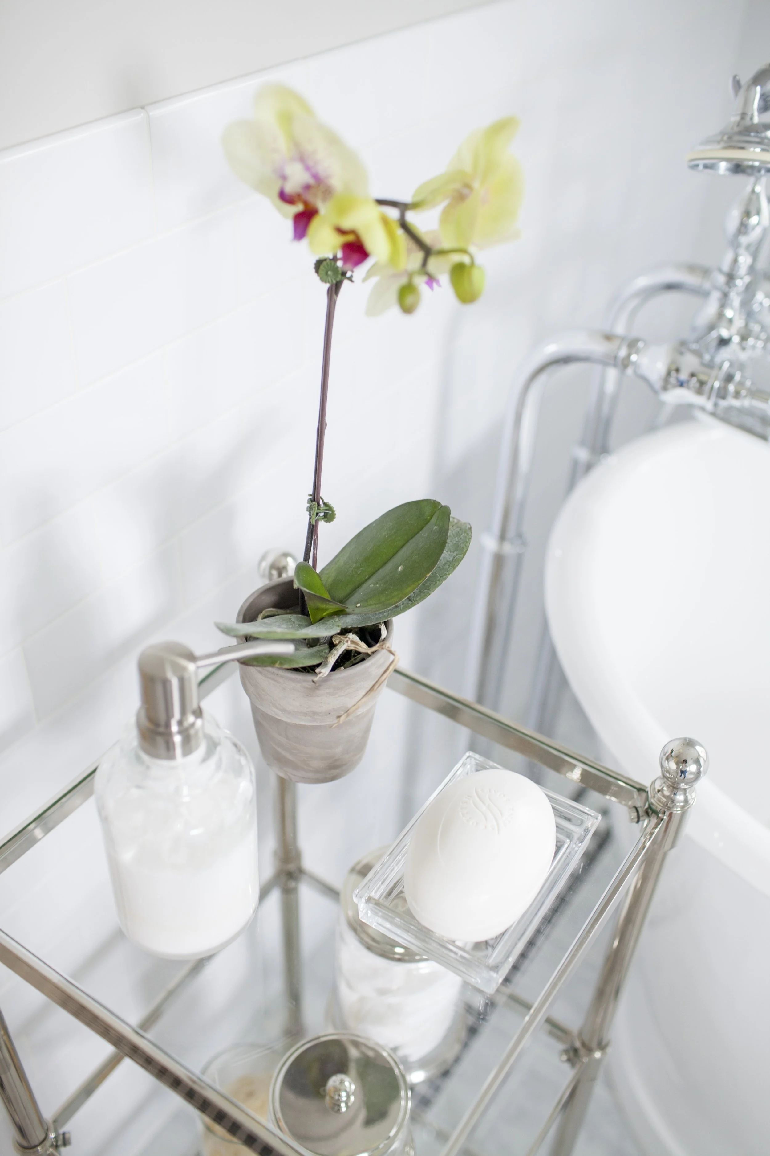 Glass shelf beside a bathtub styled with an orchid, soap dispenser, soap dish, and glass jars filled with cotton balls.
