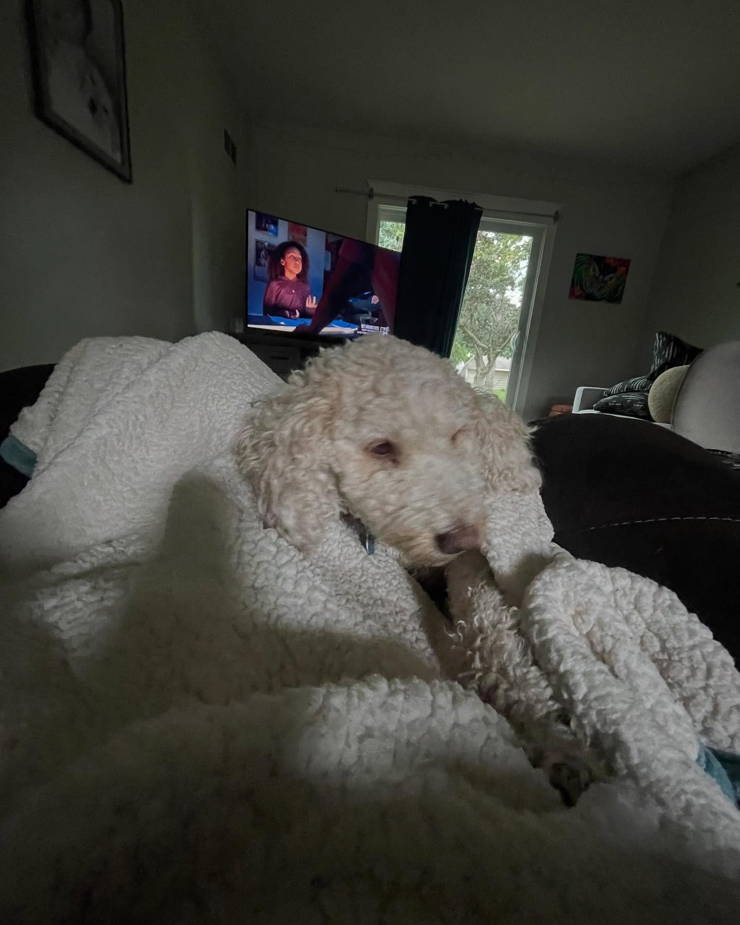 Sundays are for soft blankets, snuggly pups, and&hellip; digging deep. 🐾✨
Spent a few hours today working on the next newsletter&mdash;this one&rsquo;s all about those sneaky little core beliefs that quietly shape everything.

It&rsquo;s gonna be a 