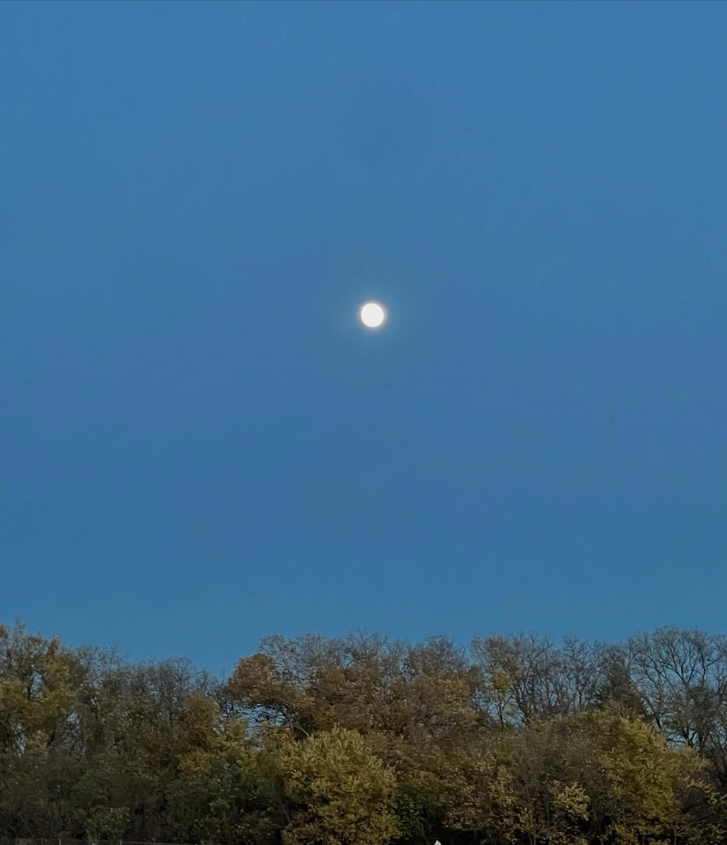 The sky had a quiet way of reminding me tonight&hellip; not everything needs fixing. Some things just need noticing. Be sure to get out and enjoy it this week! 🌕 #moon #mondaynightvibes #grateful