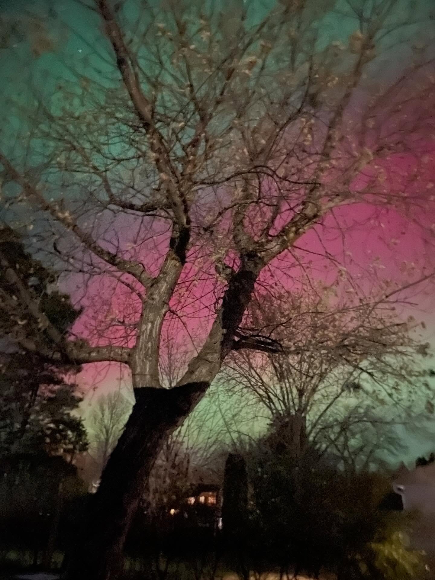 Northern lights last night and this morning=INCREDIBLE🙌🏼