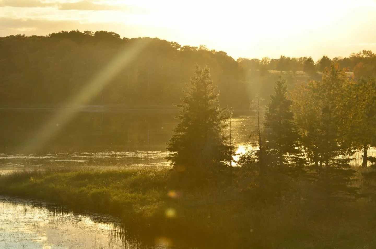If the noise of the world feels overwhelming tonight&mdash;
the weight of what&rsquo;s been and the unknown of what&rsquo;s coming&mdash;
maybe tonight you&rsquo;re feeling scared, sad, angry, or unsure&hellip;

Turn the volume down where you can.
Un
