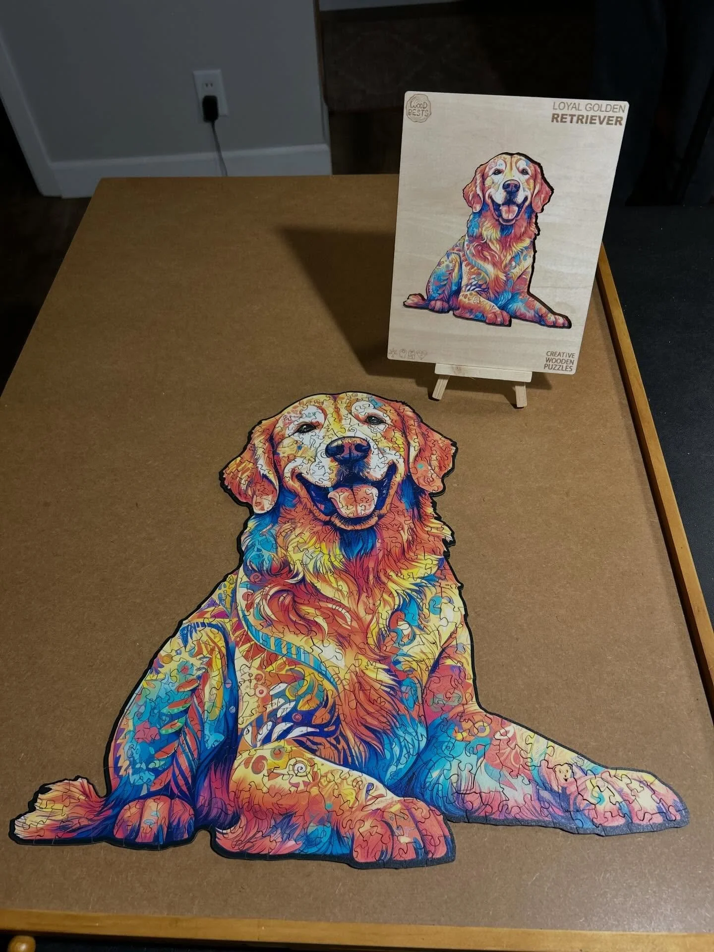 Proof that slowing down can still be colorful.

Also proof that dogs make everything better.🐶