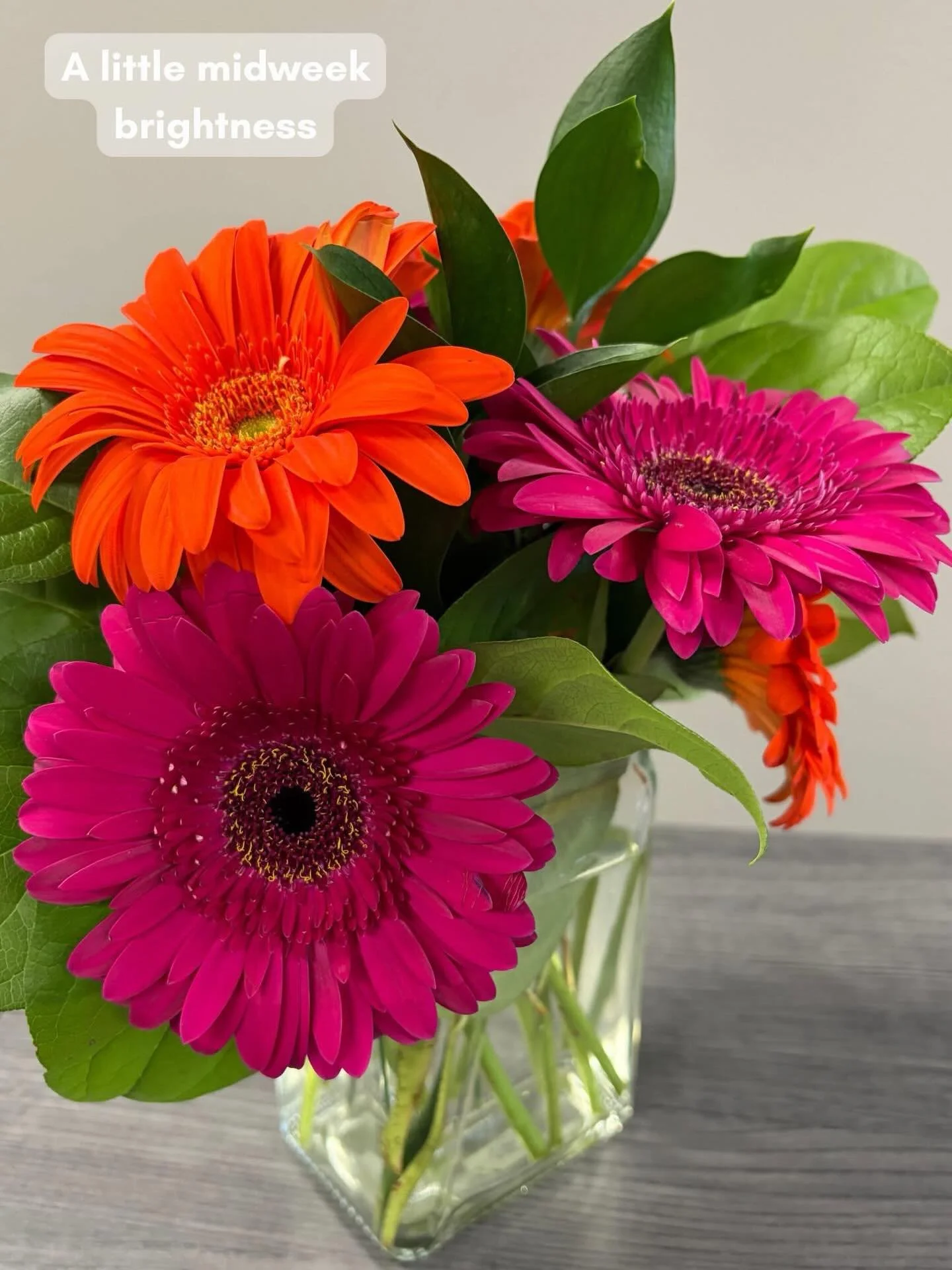 Happy Wednesday ☀️
No big lesson today&hellip; just sharing a little color and a little brightness for the middle of the week.

Hope your Wednesday has at least one bright spot in it. 🌸