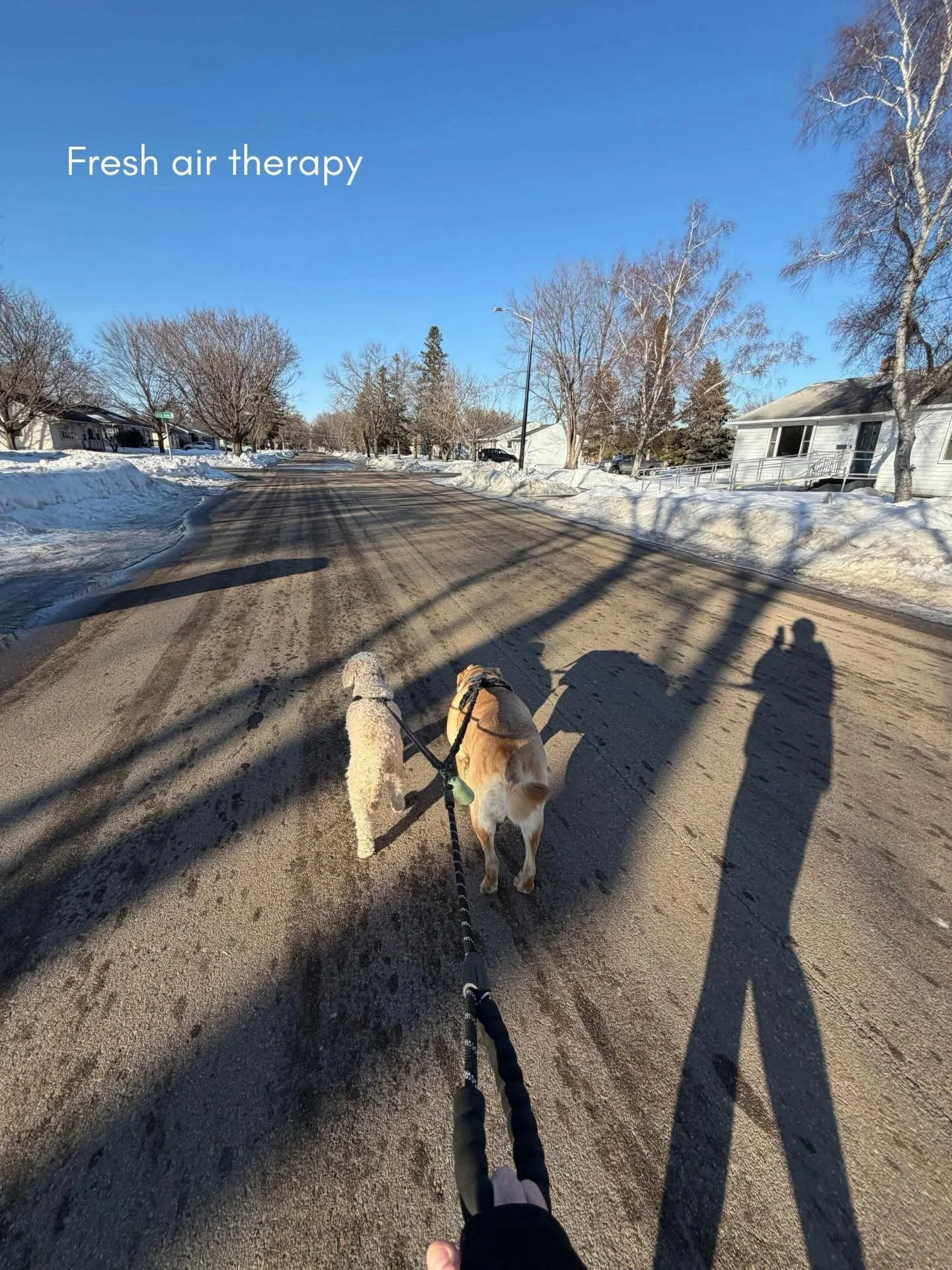 Fresh air therapy.

Side effects:
Better mood.
Less overthinking.
Two dogs dragging you into the weekend. 🐾

10/10 recommend.

Happy Friday, Friends. Go outside. 💛 #fridayvibes #freshair #dogs