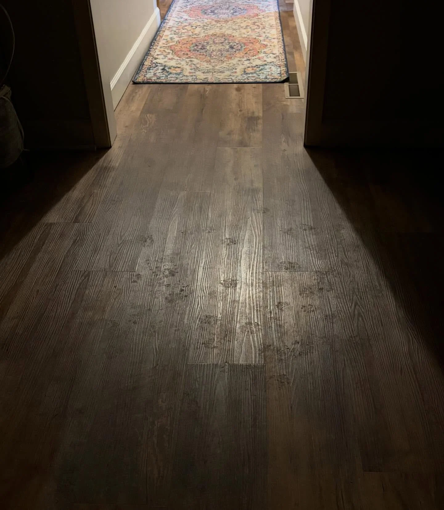 You know winter thaw is here when the hallway looks like this.🐕

Different paw prints.
Different sizes.
Different directions.

Kind of like life. A little messy&hellip; but always moving. 🐾