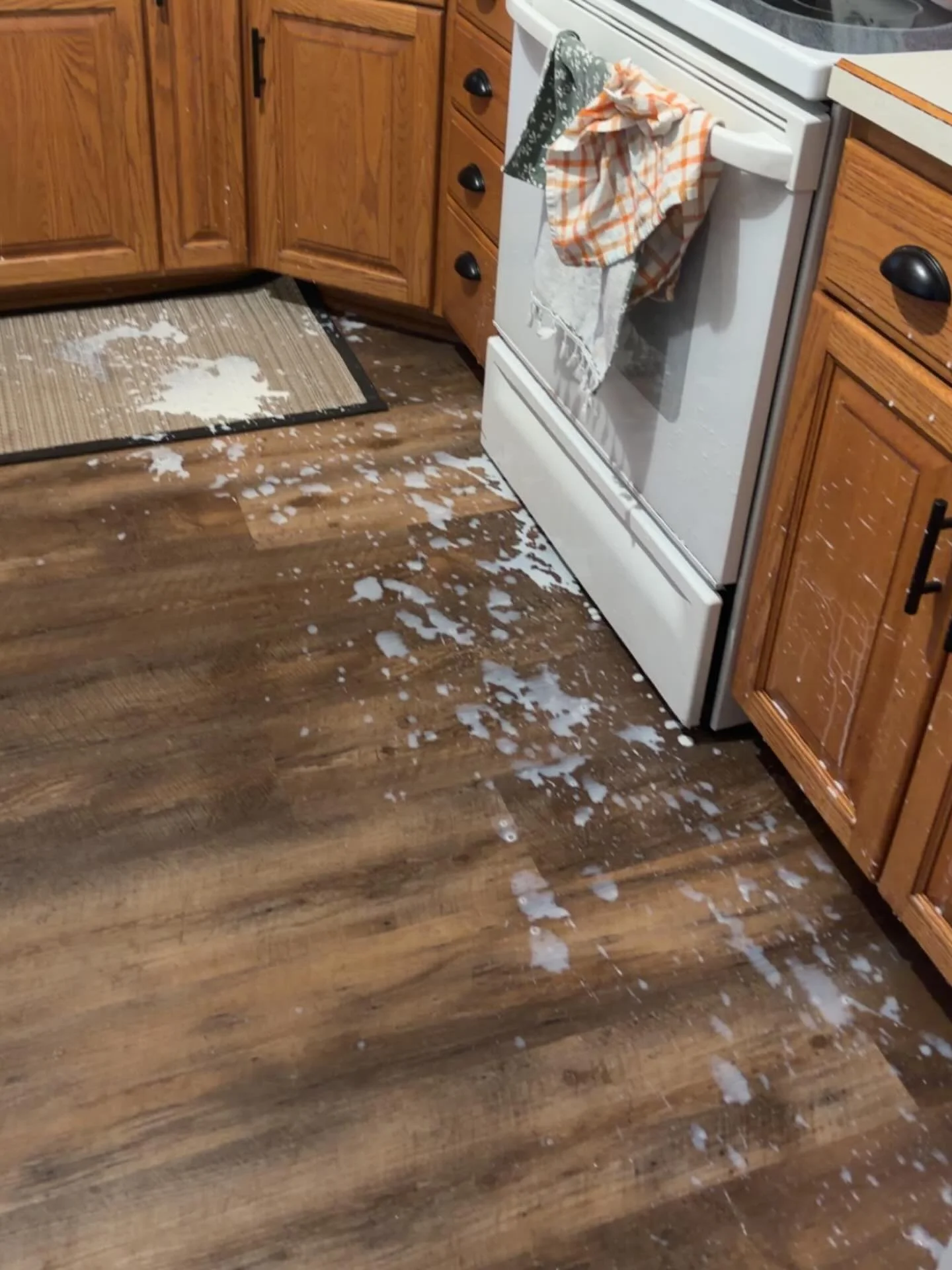 Don&rsquo;t cry over spilled milk, they said&hellip;

They clearly weren&rsquo;t the one cleaning the kitchen floor this morning. 😂

Happy Friday, friends. Hope your morning started off a little smoother than mine. 😂🥛