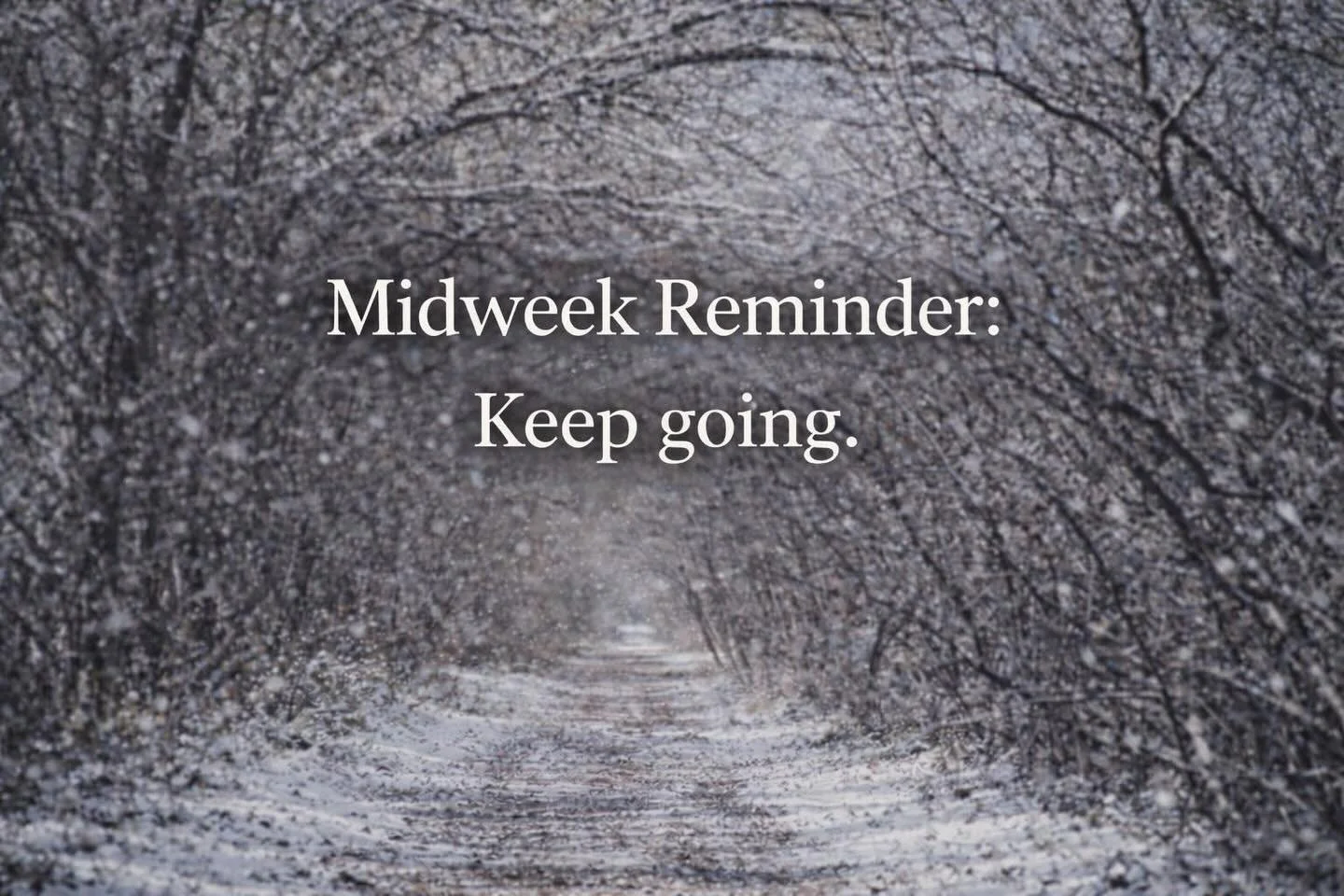 Wednesday feels a little like this path.

You&rsquo;re somewhere in the middle &mdash;
between where the week started
and where it&rsquo;s headed.

Just a reminder today:
KEEP GOING. One step at a time is still progress. ❄🚶
#keepgoing  #onestepatati