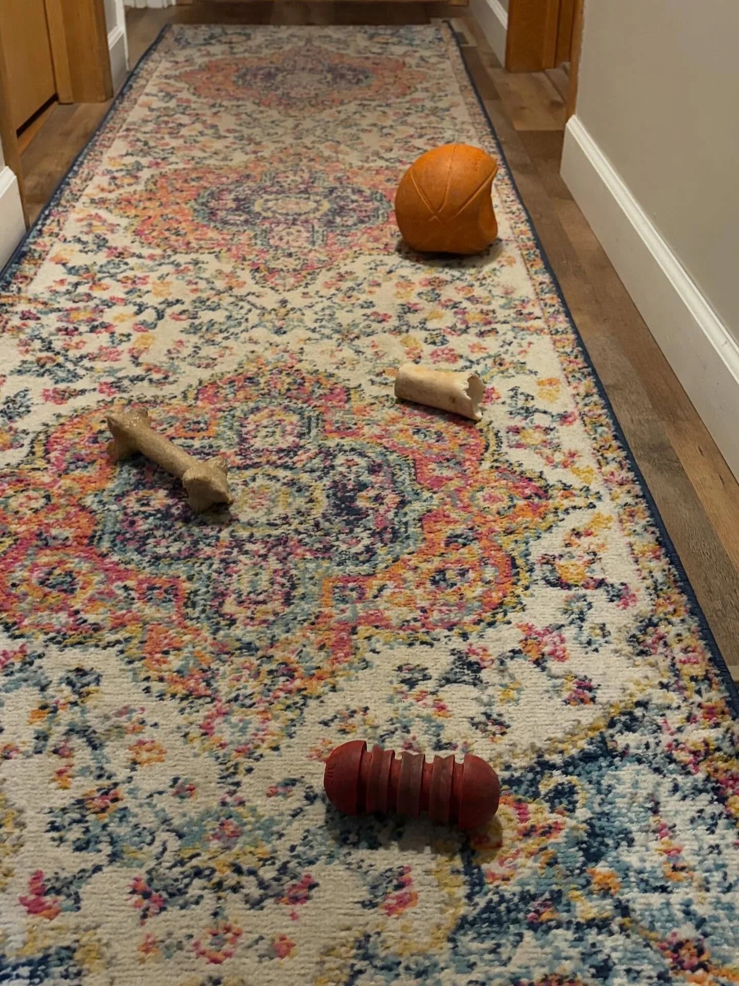 The dogs are ready to play this Monday morning&hellip; apparently I&rsquo;m the obstacle course 😂

Hope your path is a little less&hellip; chewable 😅

Happy Monday, friends!😀🐾