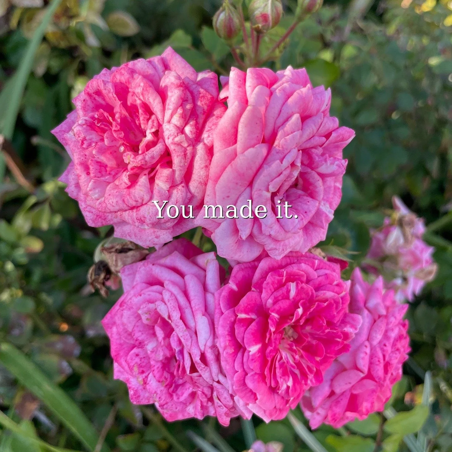 Tuesday reminder:

No one really knows what it took to get you here&hellip;but you do.

Be proud of that 💛