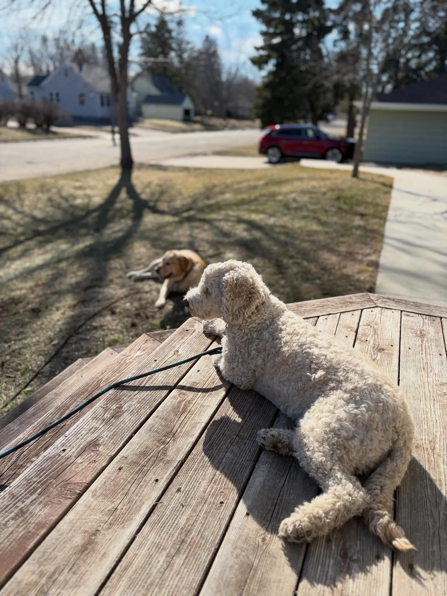 The last Sunday of another month&hellip;. 

And maybe life doesn&rsquo;t look dramatically different than it did 30 days ago&hellip; but you showed up anyway. 

On the good days.
On the hard days.
On the &ldquo;I don&rsquo;t feel like it, but I&rsquo