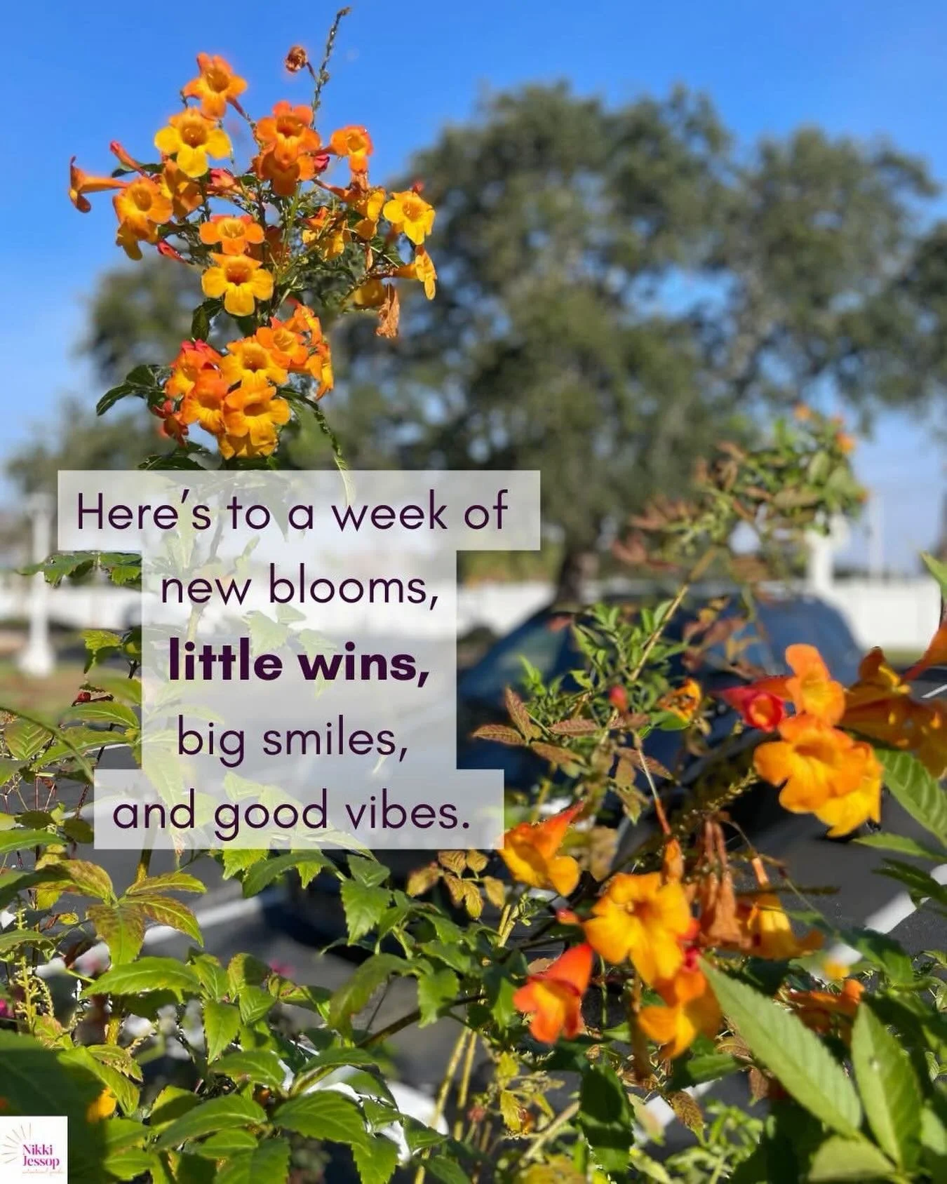 Happy Monday, friends! ☀️

#mentalhealthmatters #newweek #littlewins