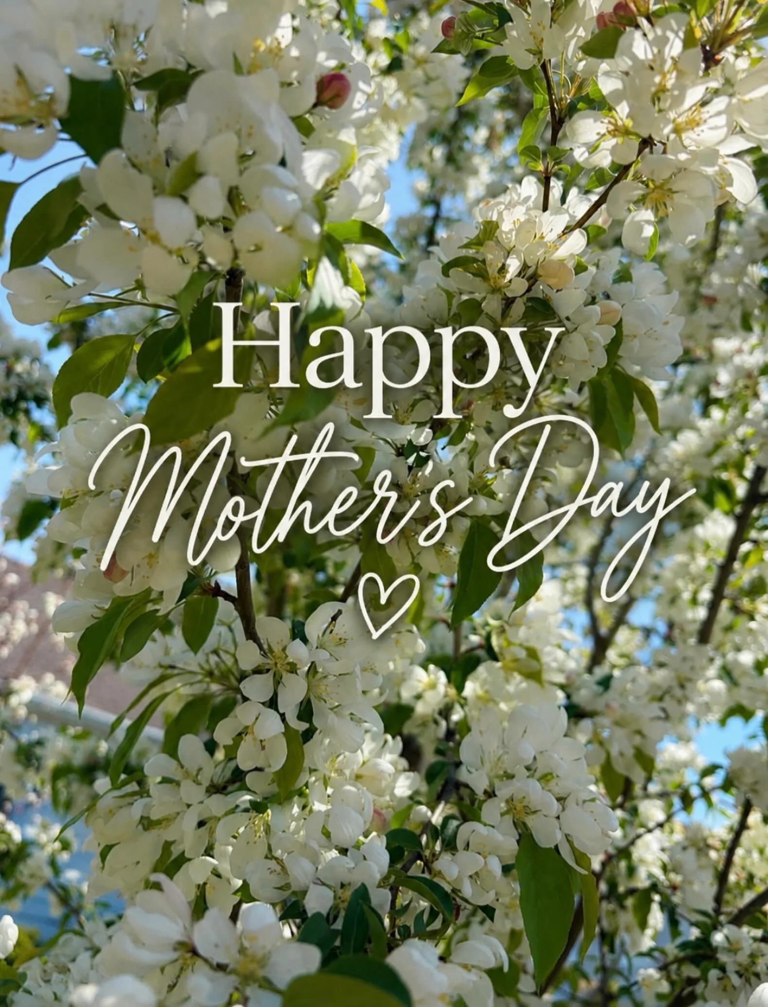 To the women who somehow hold it all together 💛

The moms, bonus moms, grandmas, and the ones who love like one&hellip;

They show up.
They love big.
They keep everyone moving.
And somehow&hellip; they still answer all our calls and texts 😌

A litt