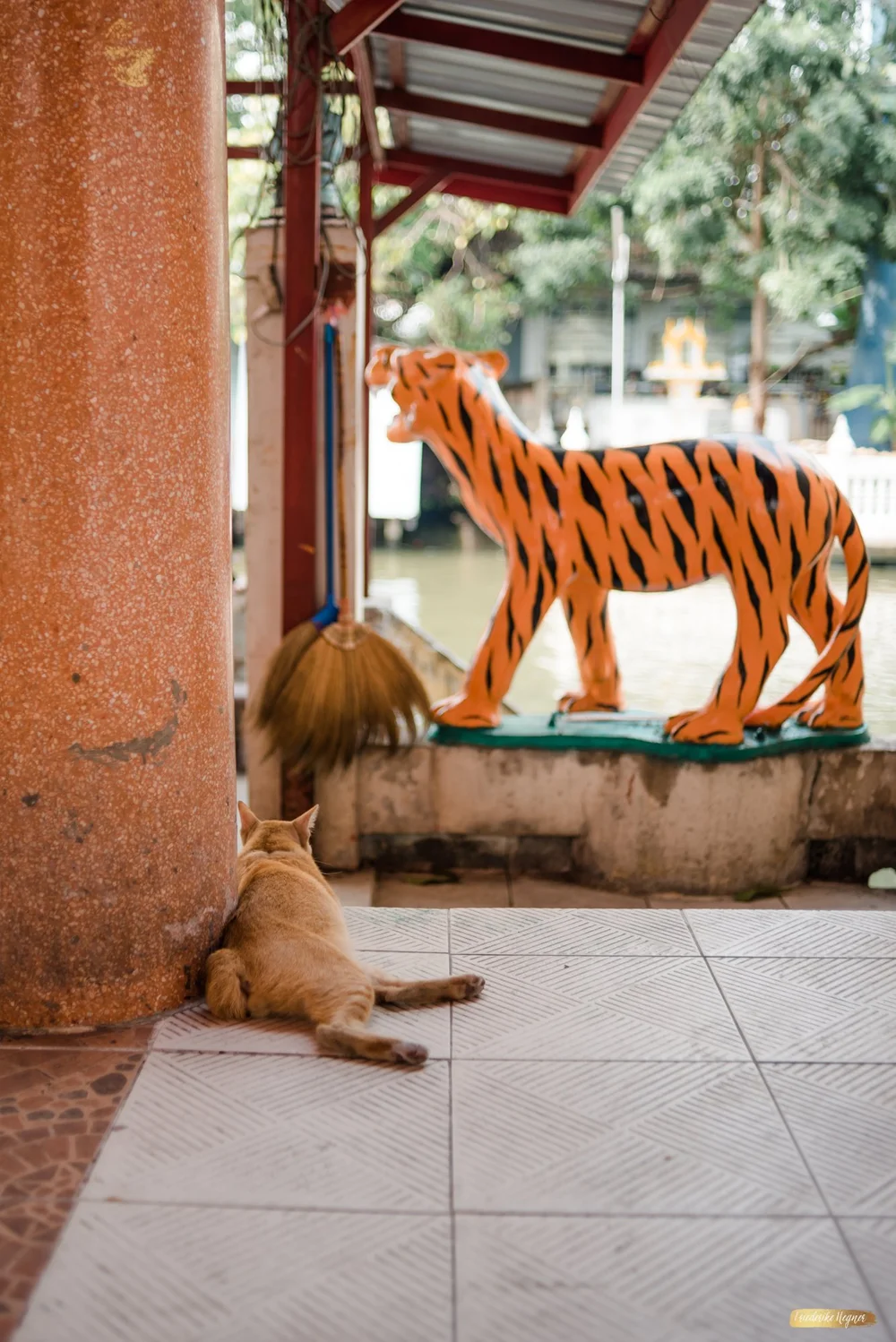 ©Friederike Hegner_2018_travel_freieGalerie_SüdostaisienJan2018_web-133.jpg