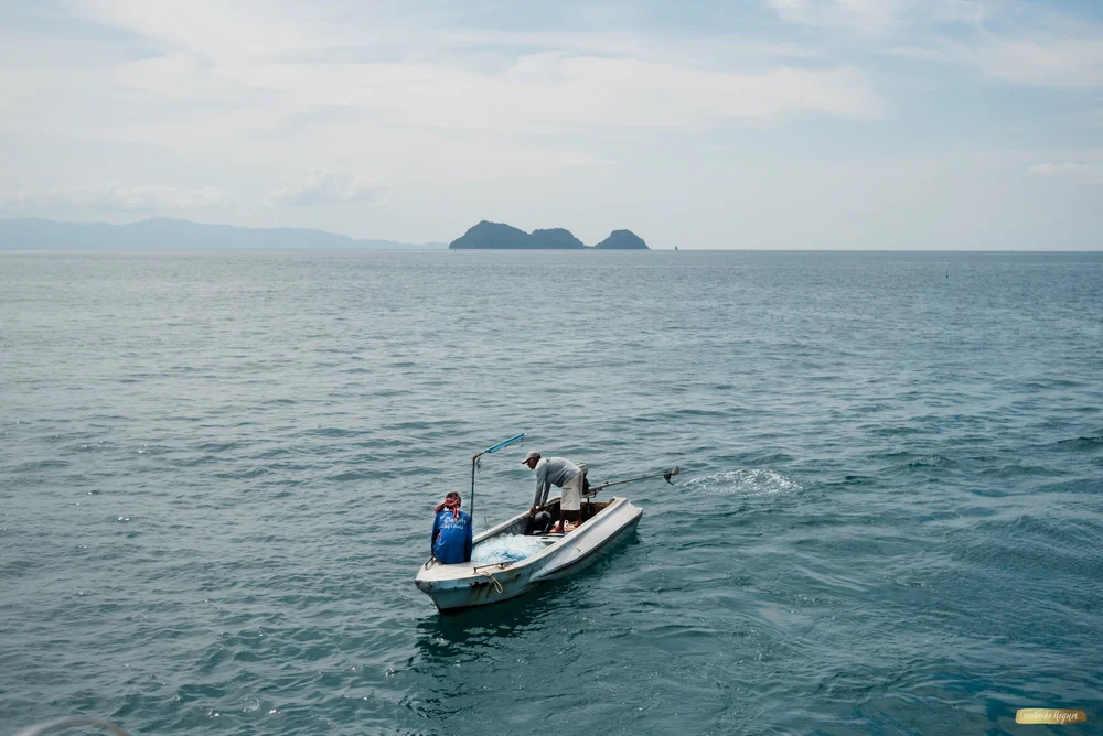 ©Friederike Hegner_2018_travel_freieGalerie_SüdostaisienJan2018_web-182.jpg