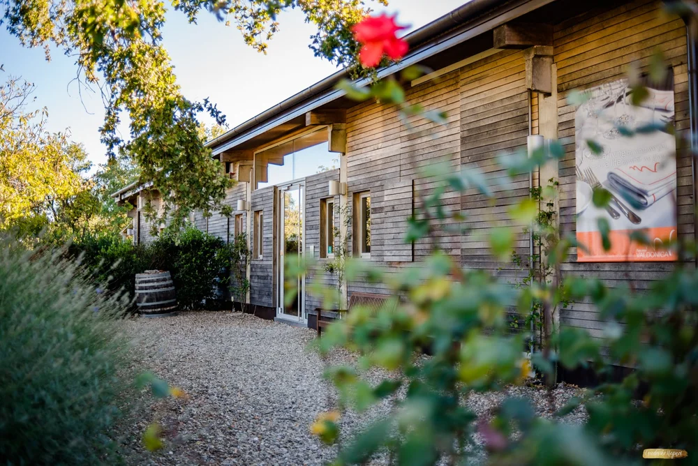 ©Friederike Hegner_2018_okt2017_itsagrapestory_Valdonica-199.jpg