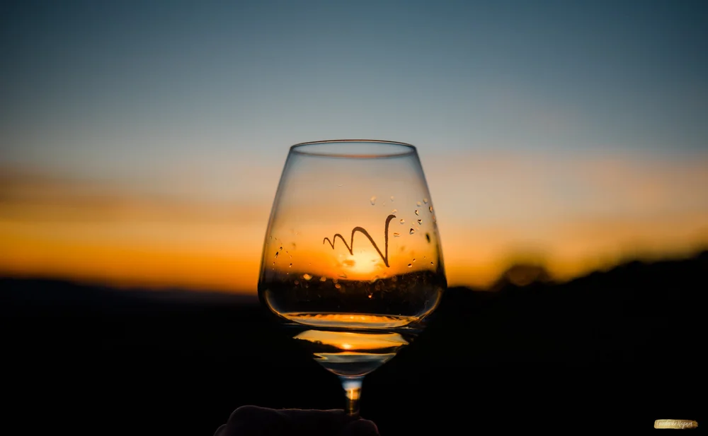 ©Friederike Hegner_2018_okt2017_itsagrapestory_Valdonica-233.jpg