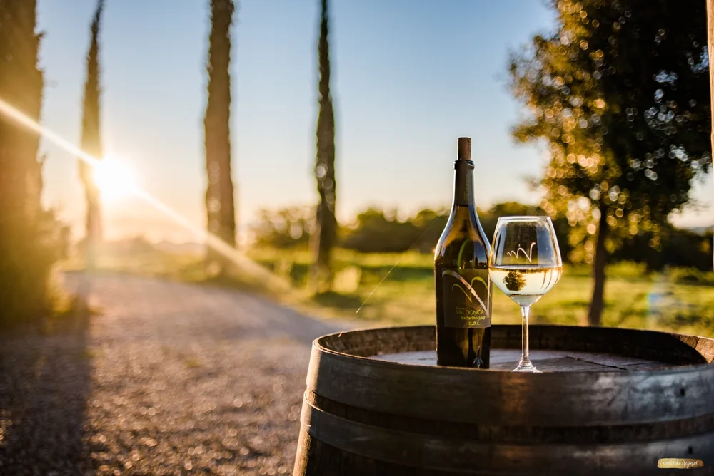 ©Friederike Hegner_2018_okt2017_itsagrapestory_Valdonica-105.jpg