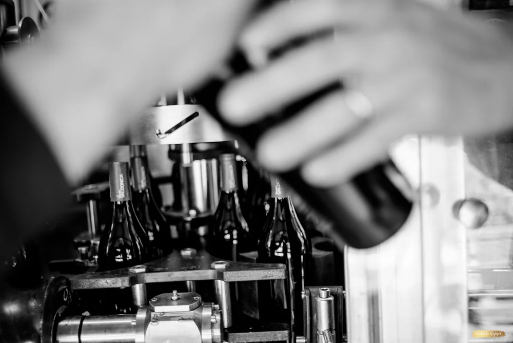 ©Friederike Hegner_2018_okt2017_itsagrapestory_Valdonica-132.jpg