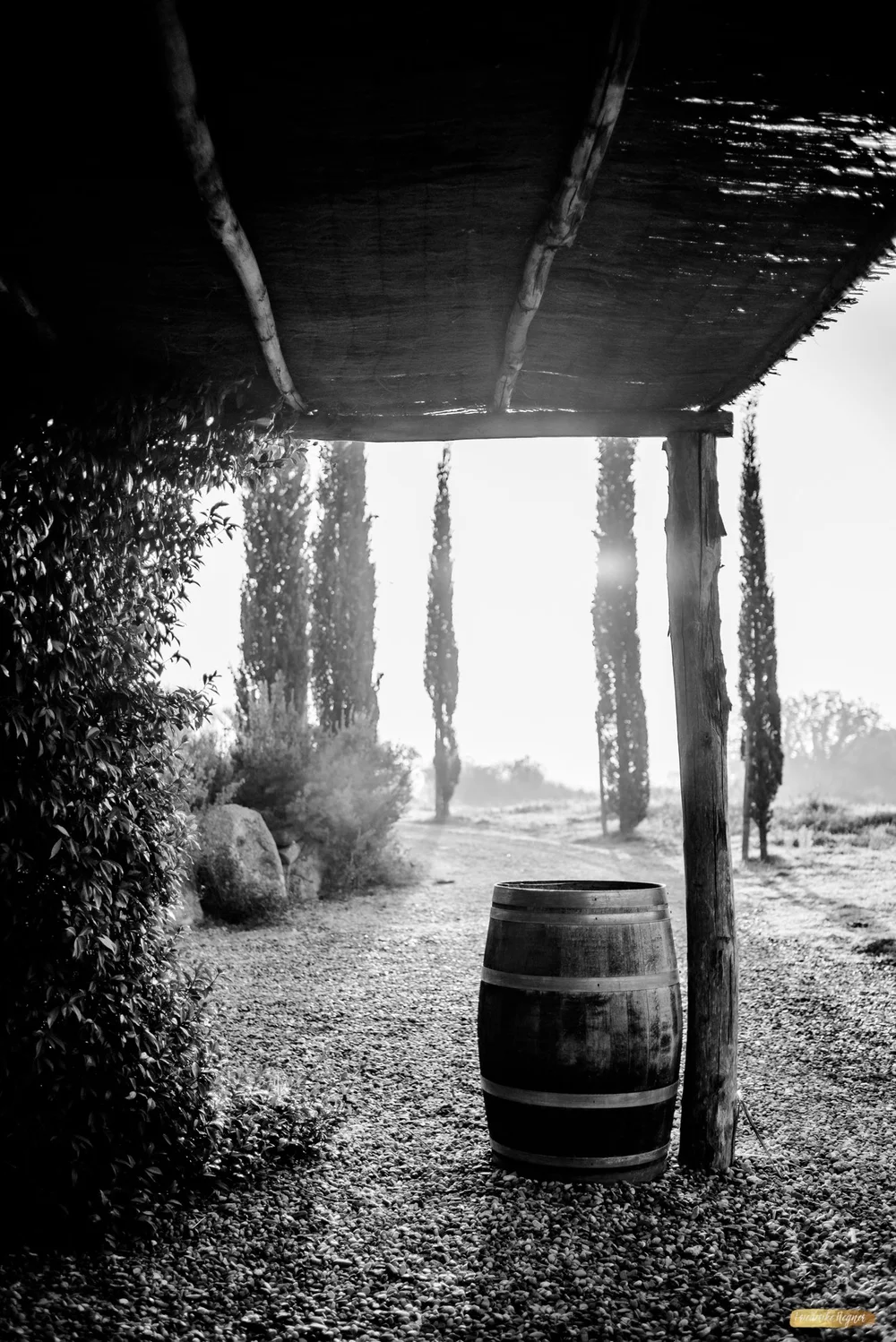 ©Friederike Hegner_2018_okt2017_itsagrapestory_Valdonica-14.jpg