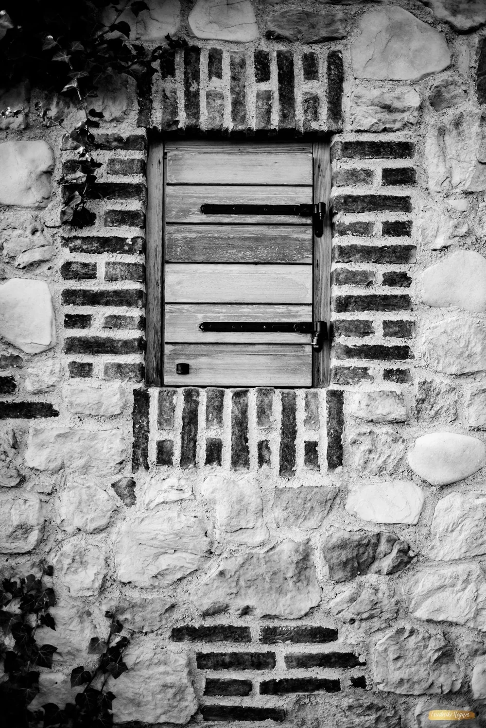 ©Friederike Hegner_2018_okt2017_itsagrapestory_Valdonica-34.jpg