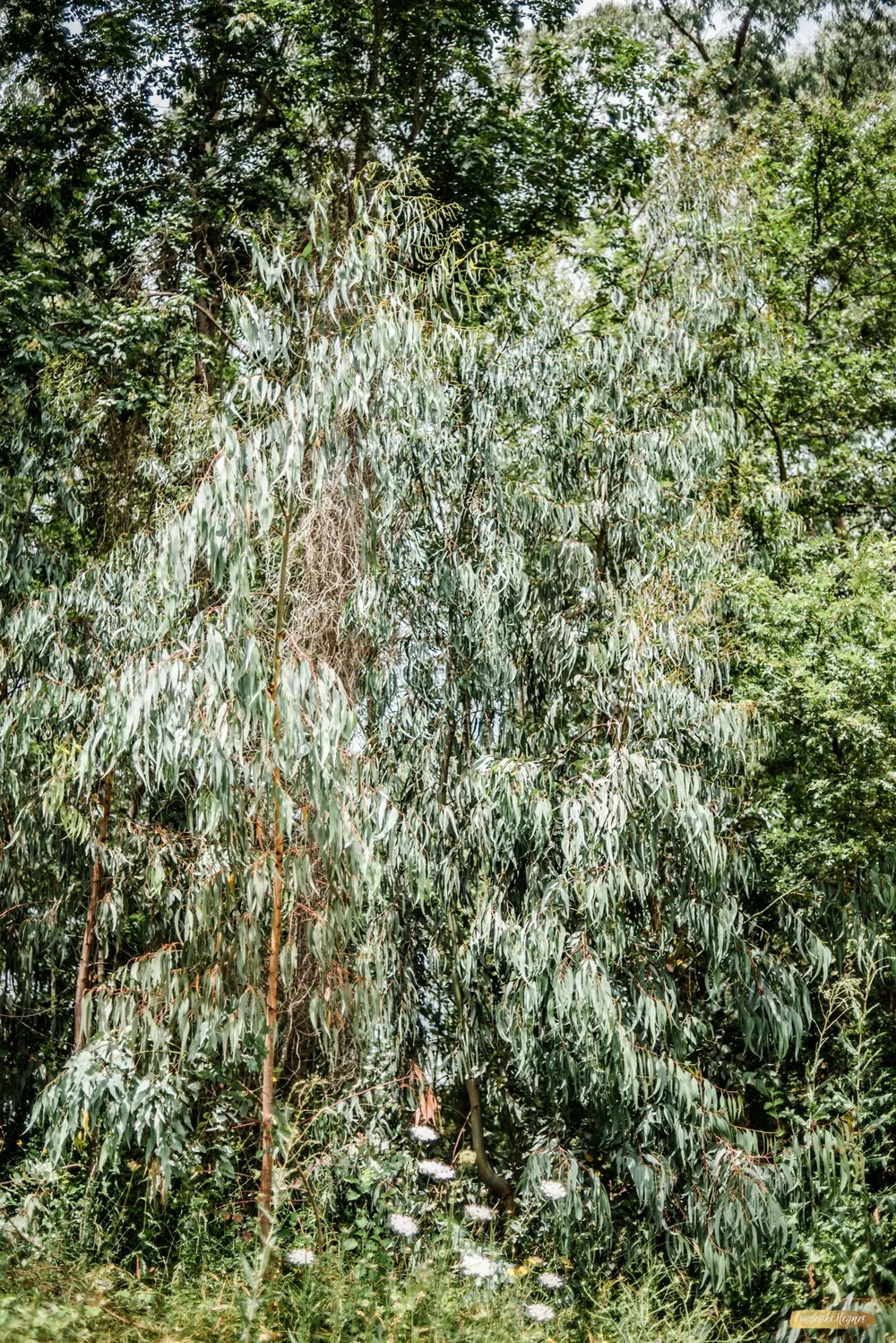 ©Friederike Hegner_2018_Italien Juli2018-17.jpg