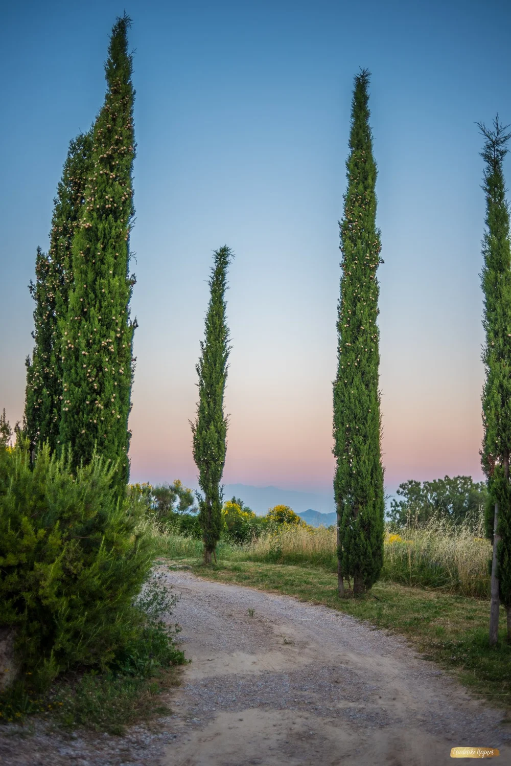 ©Friederike Hegner_2018_Italien Juli2018-35.jpg