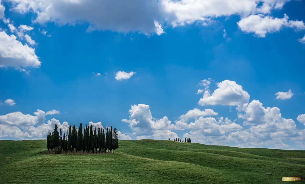 ©Friederike Hegner_2018_Italien Juli2018-37.jpg