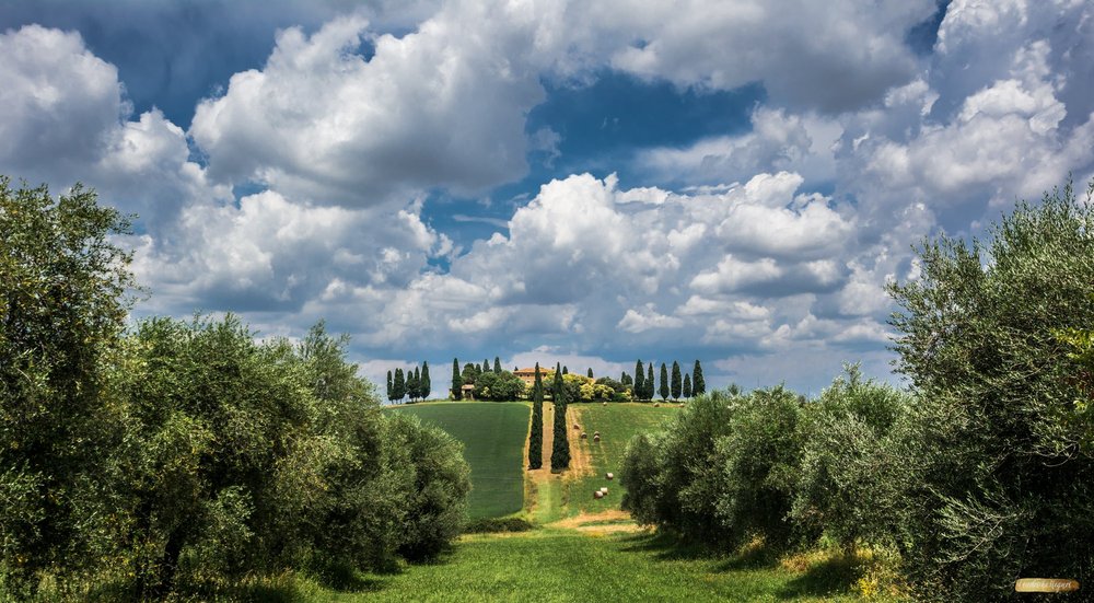 ©Friederike Hegner_2018_Italien Juli2018-38.jpg