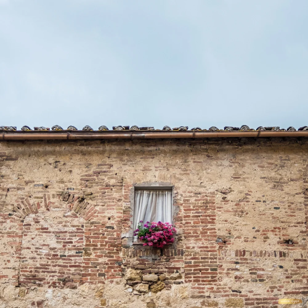 ©Friederike Hegner_2018_Italien Juli2018-56.jpg