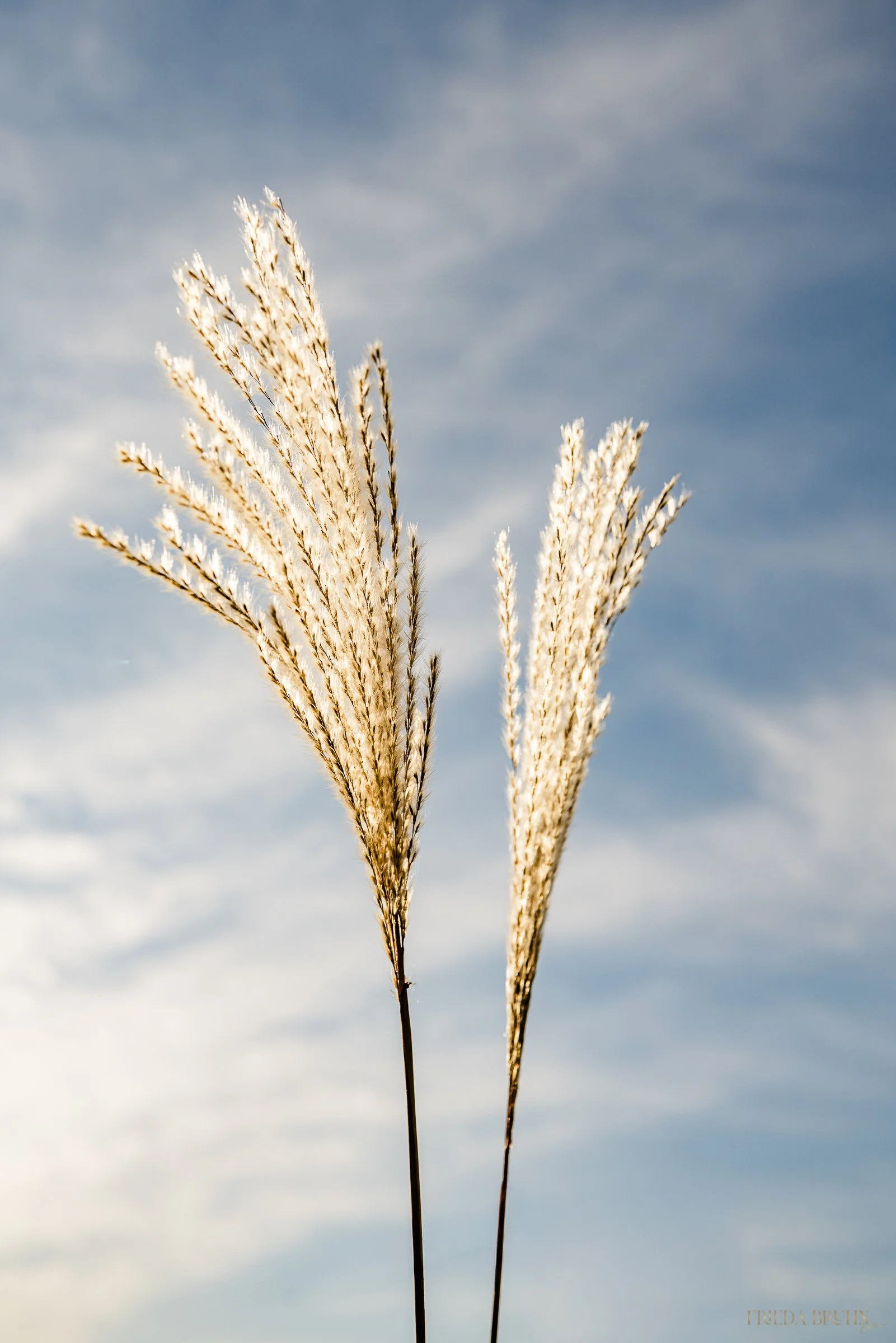 Wenn ich mir selbst vertraue: …