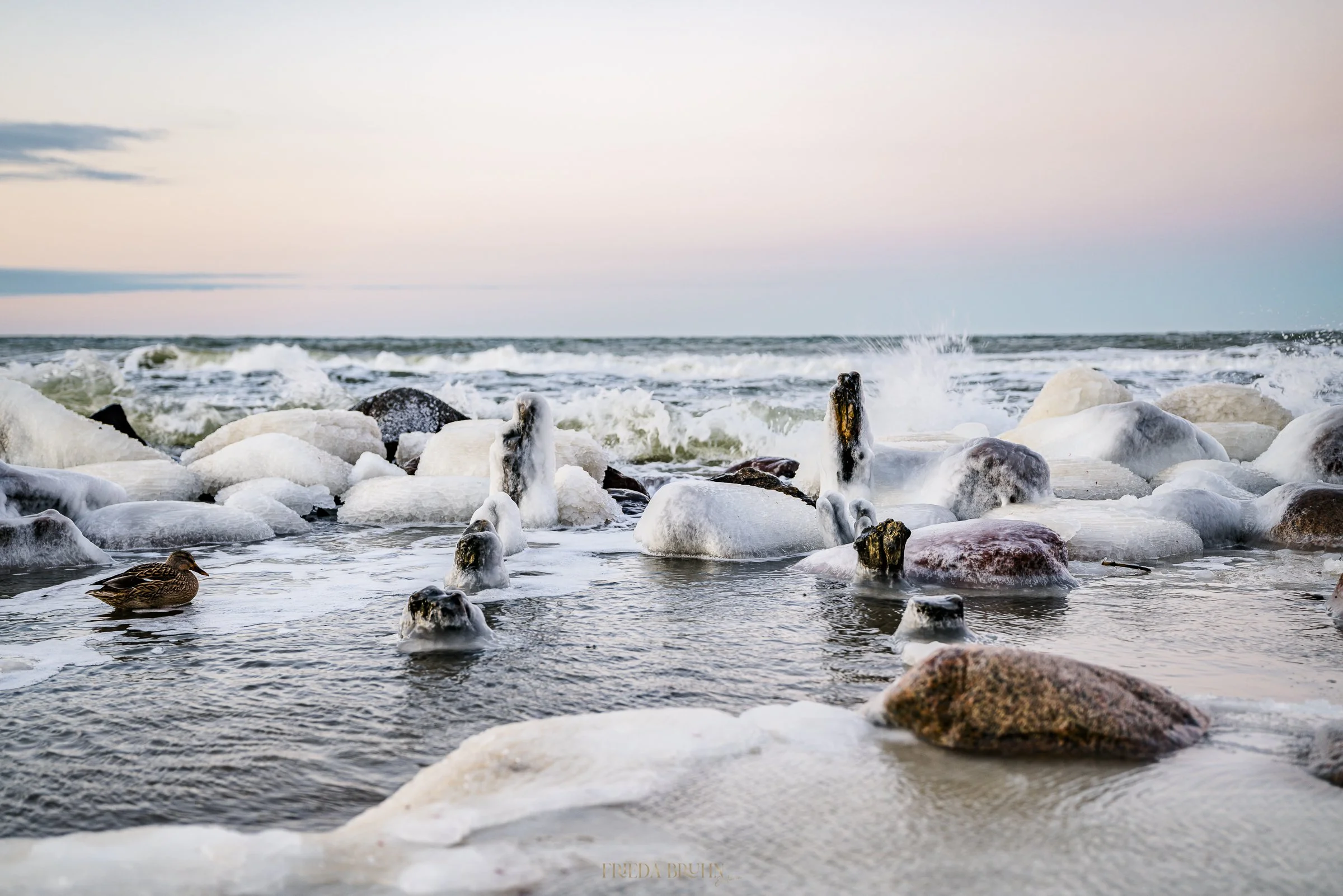 Wenn Freiheit ein Geräusch hätte – welches wäre es für dich?